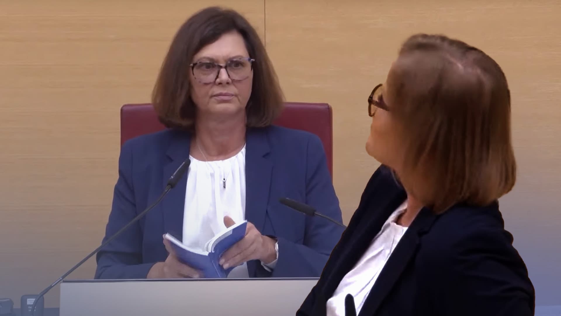 Redeverbot für AfD im bayerischen Landtag: Der Doppelmoral-Beweis im Video