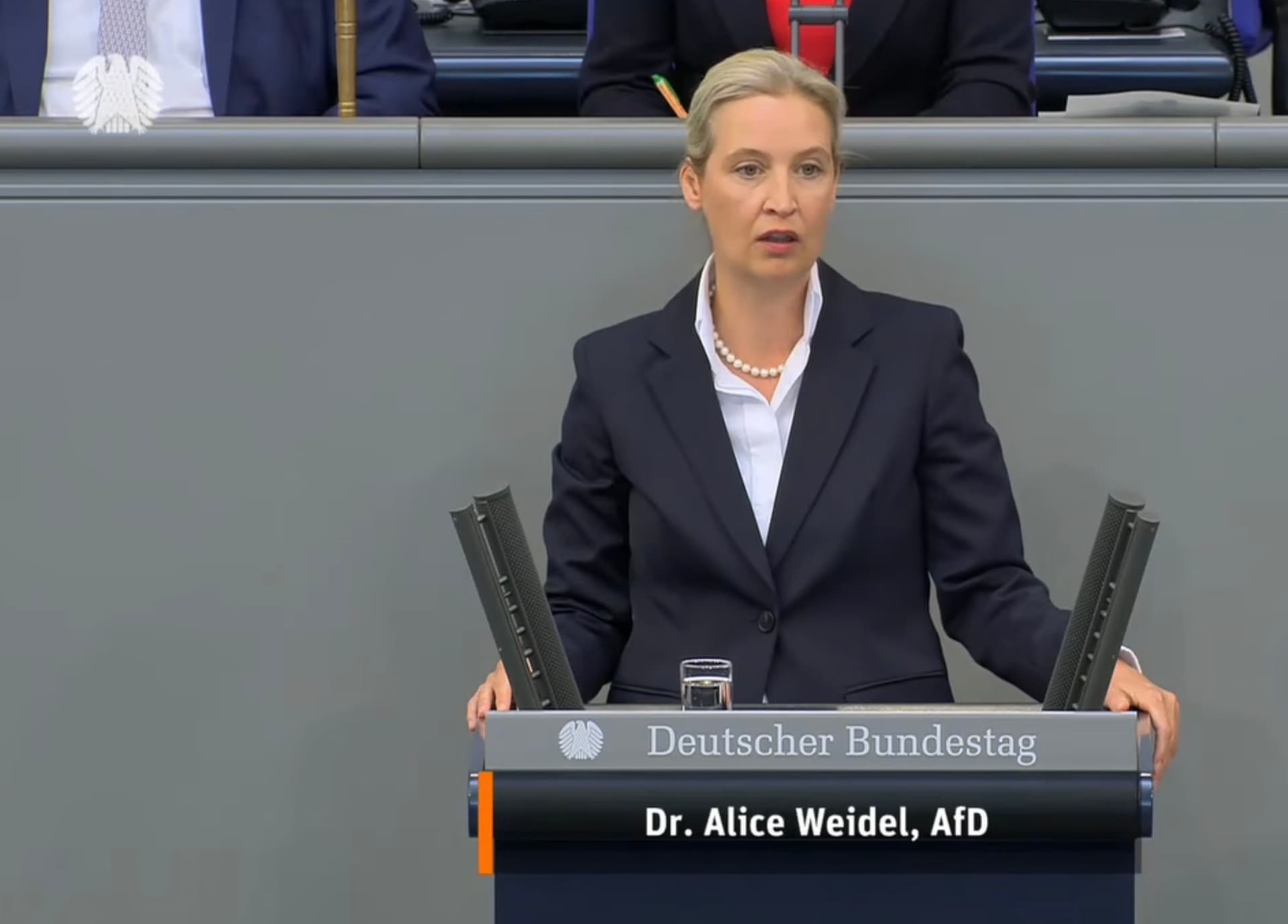 Peinlicher Faktencheck-Fehler: Phoenix-Kommentator korrigiert Weidel beim Thema Zurückweisungen – mit falschen Zahlen