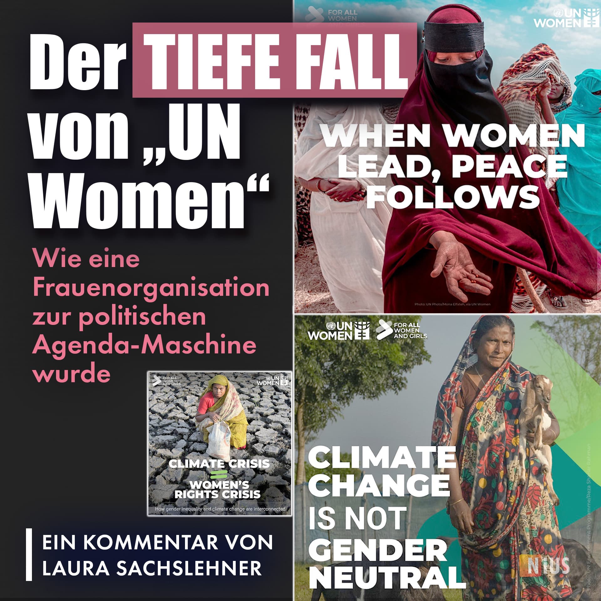 Der tiefe Fall von „UN Women“: Wie eine Frauenorganisation zur politischen Agenda-Maschine wurde