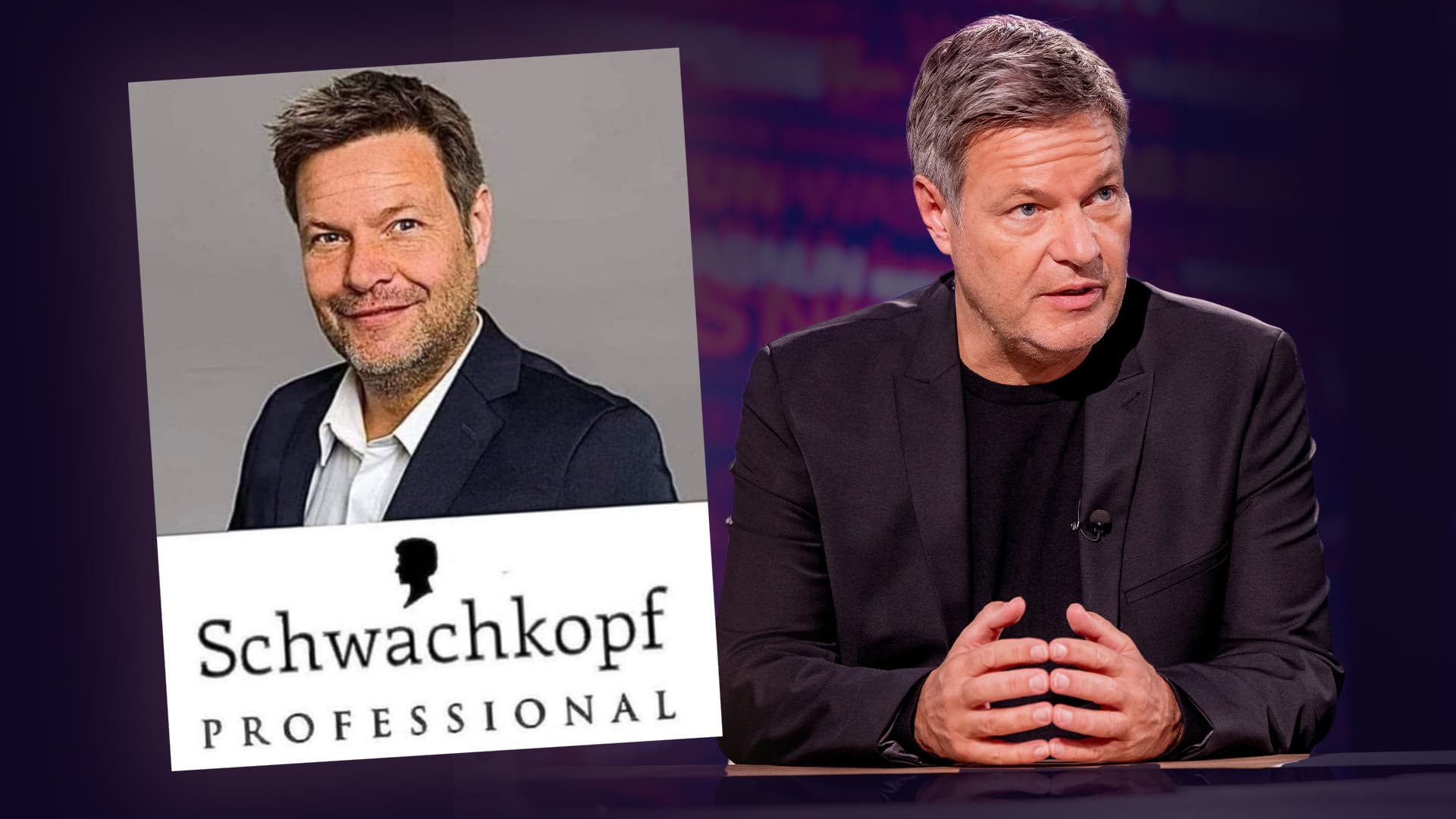 Schwachkopf-Gate: Warum darf Habeck öffentlich lügen?