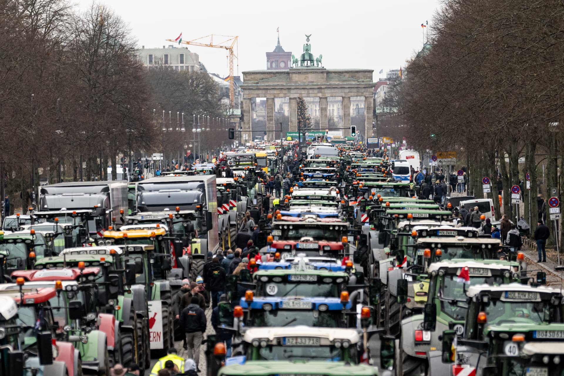 Bauernverband ruft zu Protestwoche gegen Steuerhöhungen der Ampel-Regierung auf