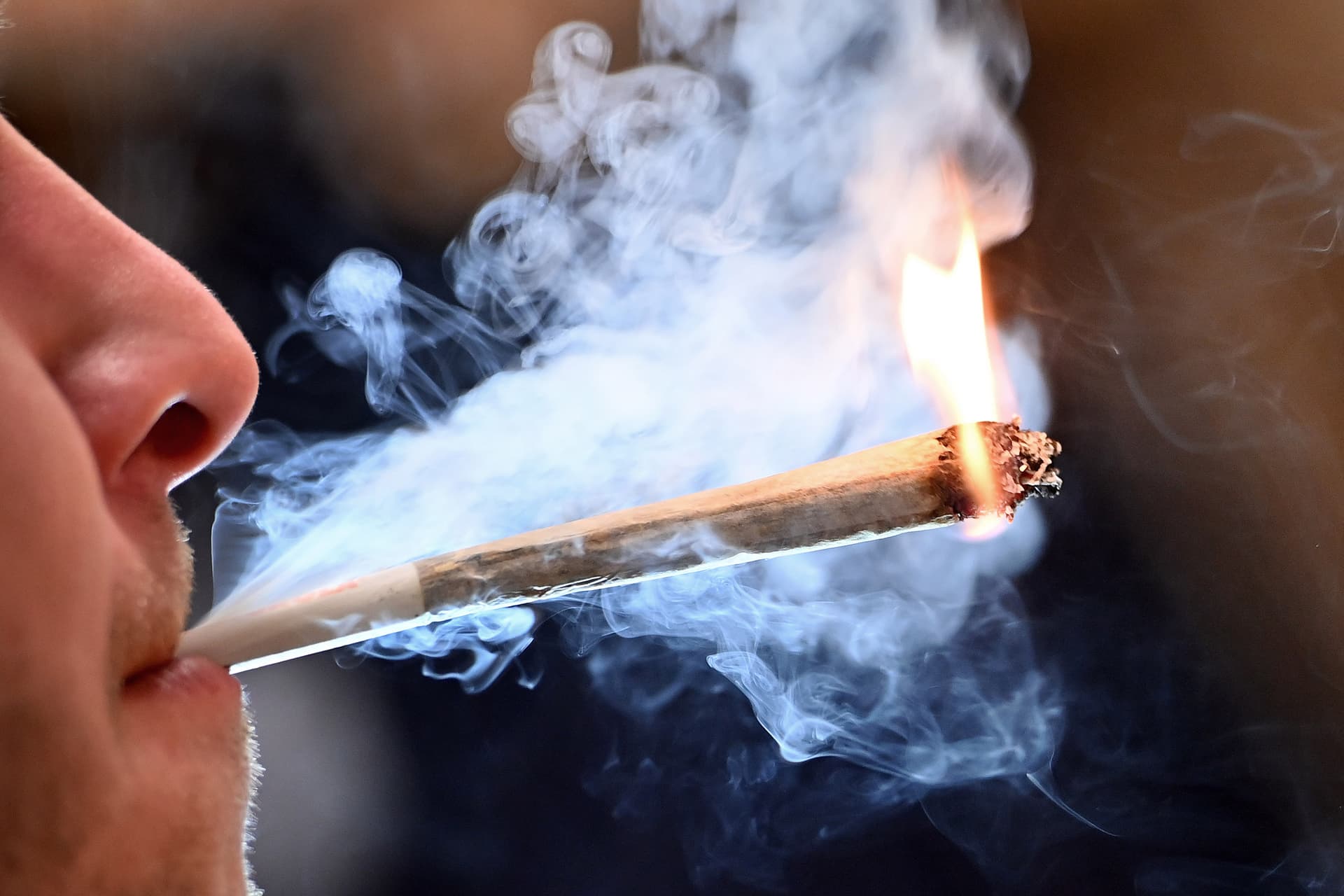 Cannabis Legalisierung: Bundesrat gibt grünes Licht
