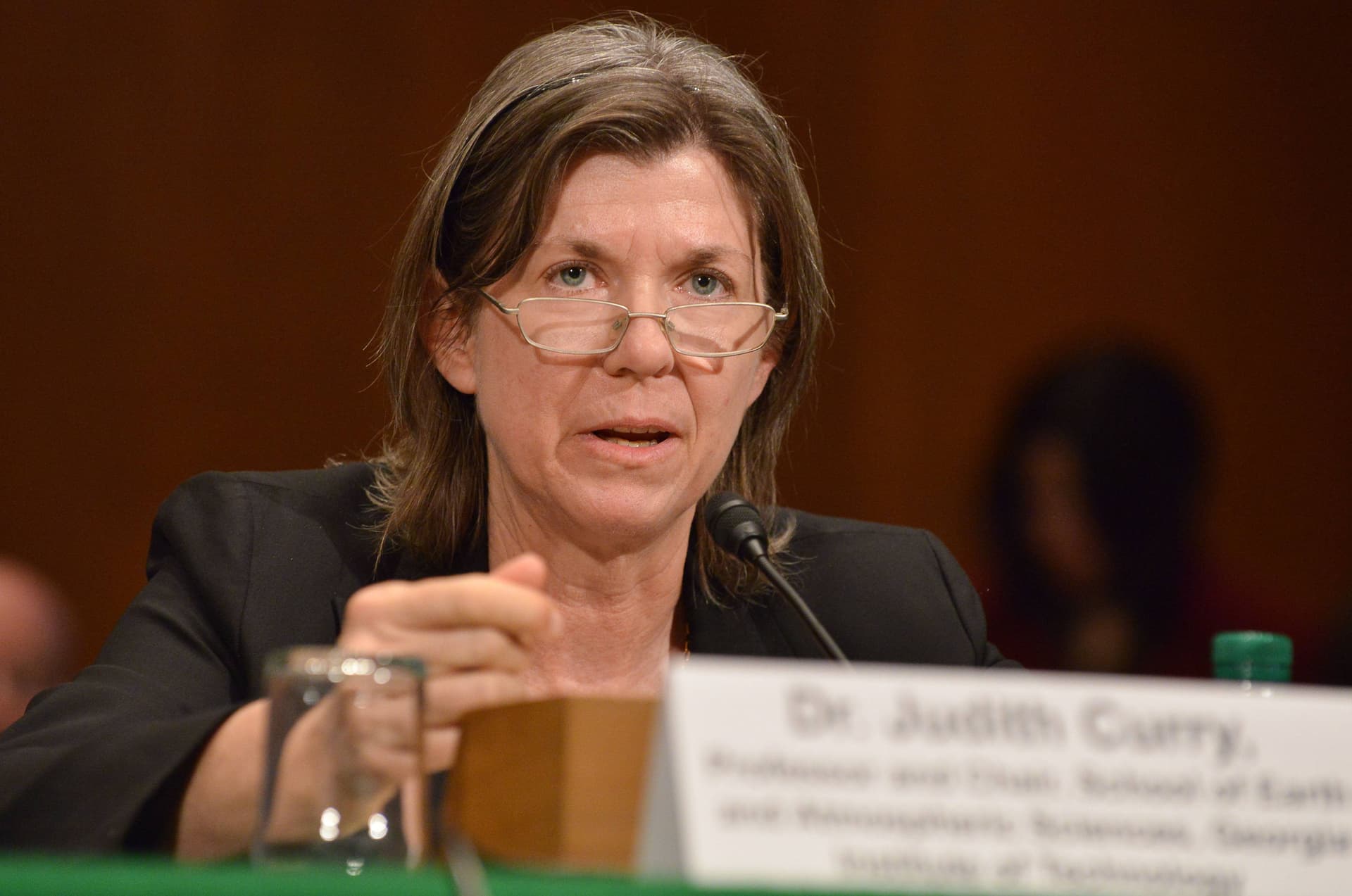 Wissenschaftlerin Judith Curry: Klima-Alarmismus ist „künstlich konstruierter Konsens“