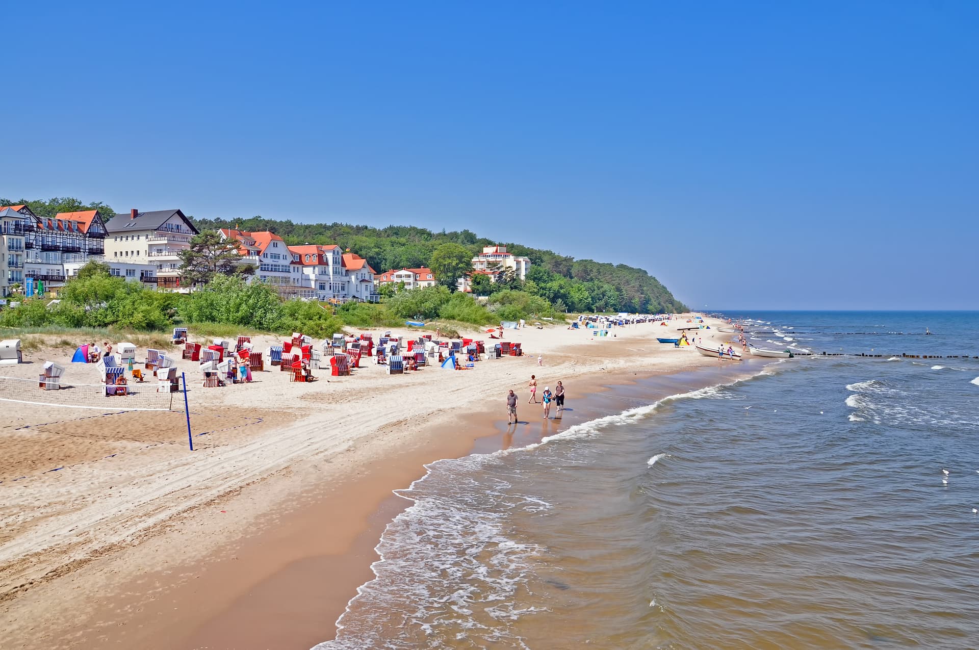Schon wieder massenhaft tote Fische! Kommt die Plage Richtung Ostsee?