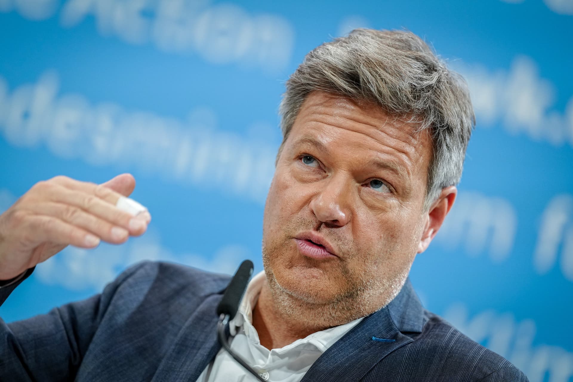 Habeck sagt, es wird keine CO2-Abgabe auf Holz geben