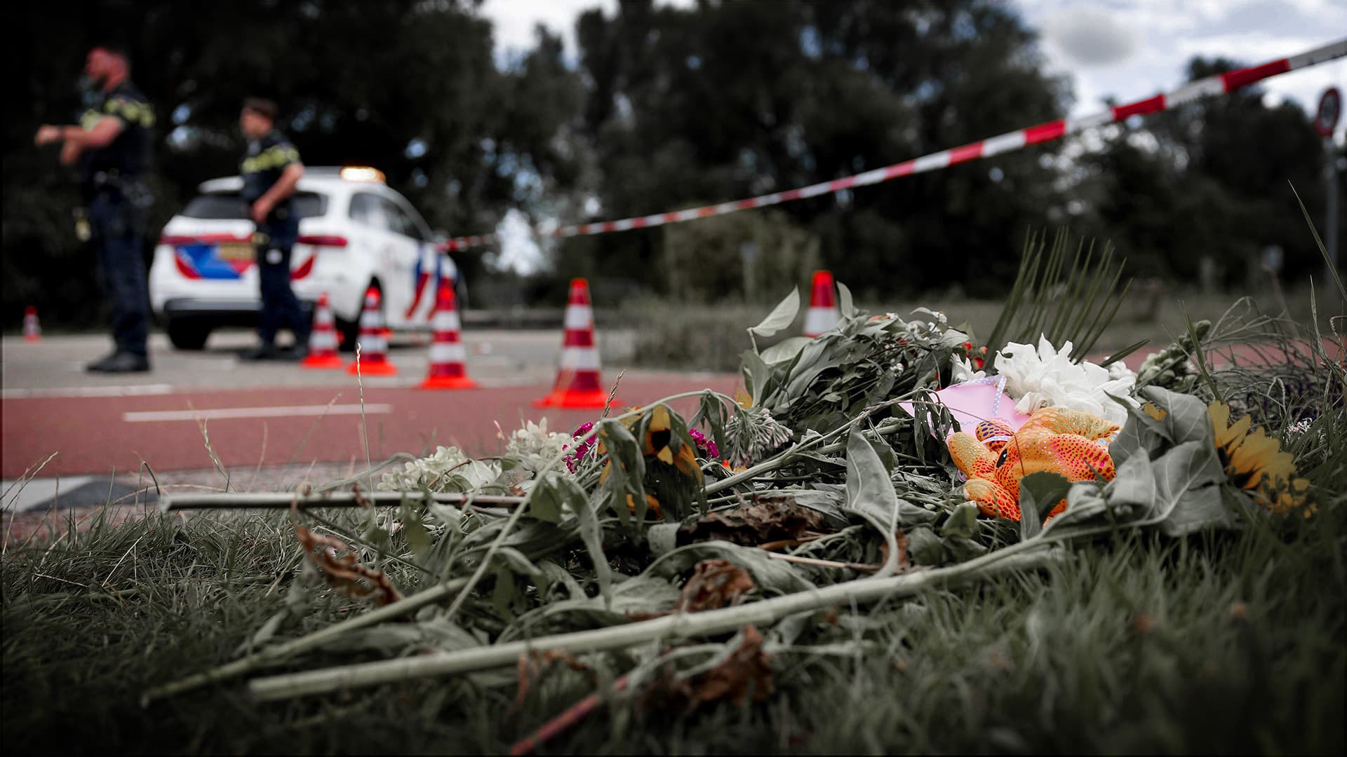Gewaltverbrechen erschüttert Niederlande: 17-jährige Lisa getötet – Asylbewerber (22) festgenommen
