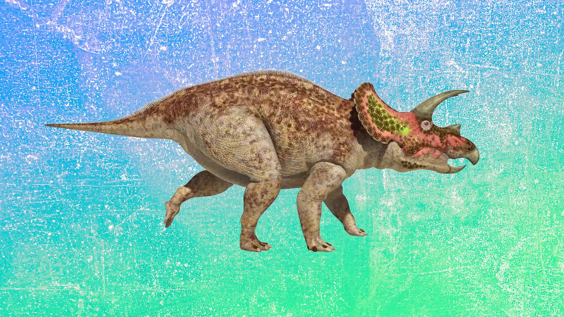 Rassismusaurus Rex: Jetzt sollen sogar die Dino-Namen rassistisch sein...