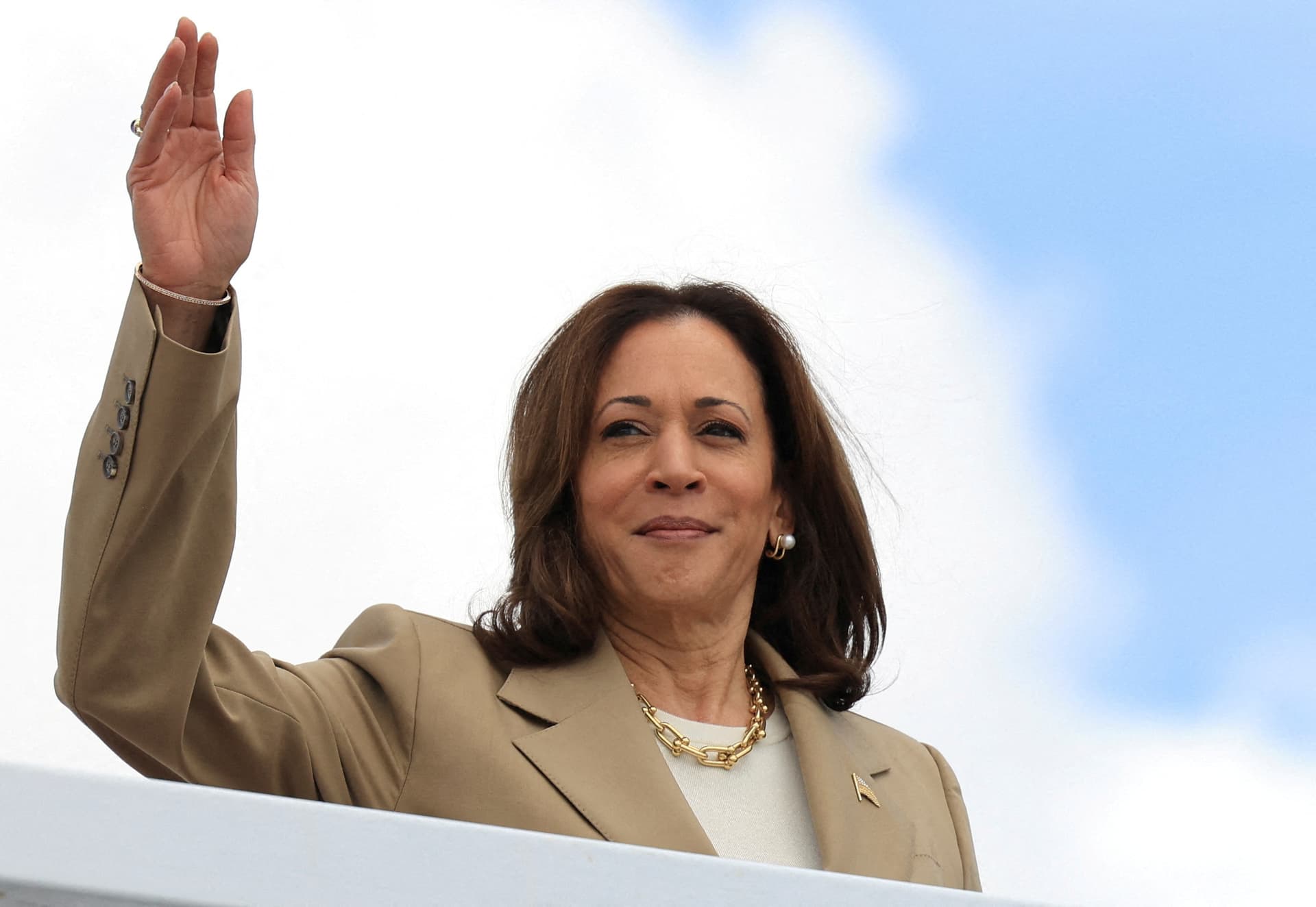 Die Nominierung von Kamala Harris beweist eine bemerkenswerte Demokratieverachtung