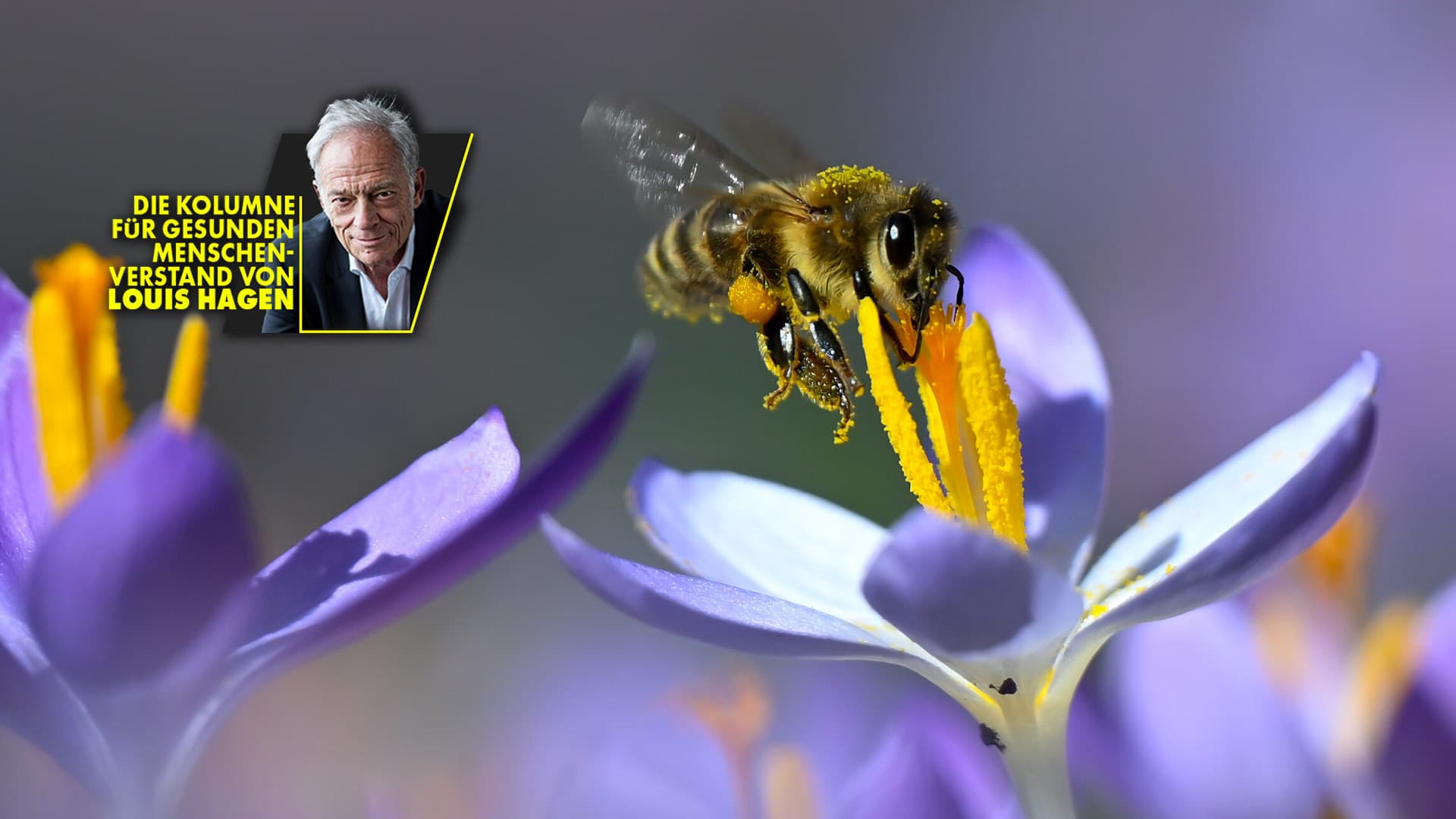 Wie schön, dass endlich Frühling ist