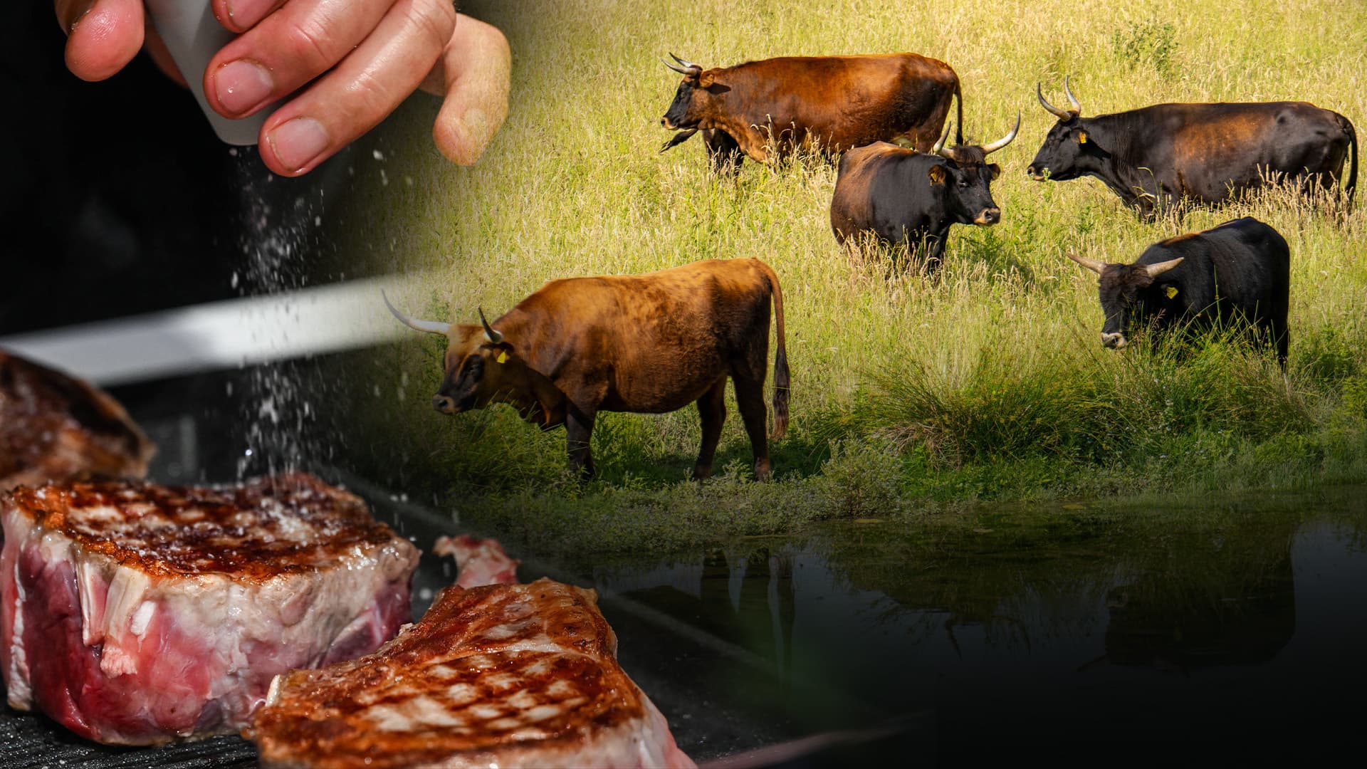 50 Prozent teurer in zwei Jahren: Rindfleisch wird zum Luxusgut