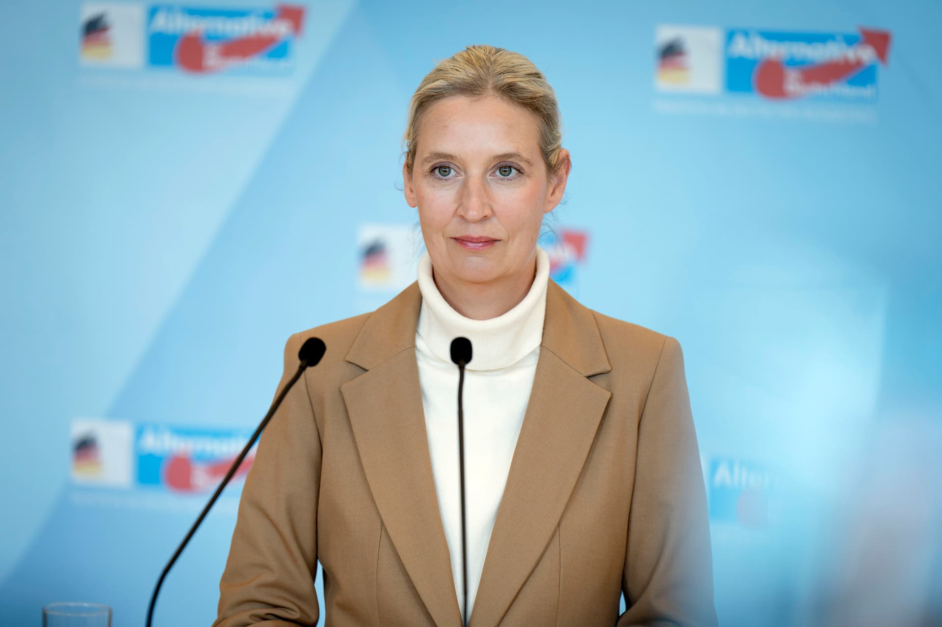 Weidel kritisiert Steinmeier-Rede als „parteipolitisch motiviert“