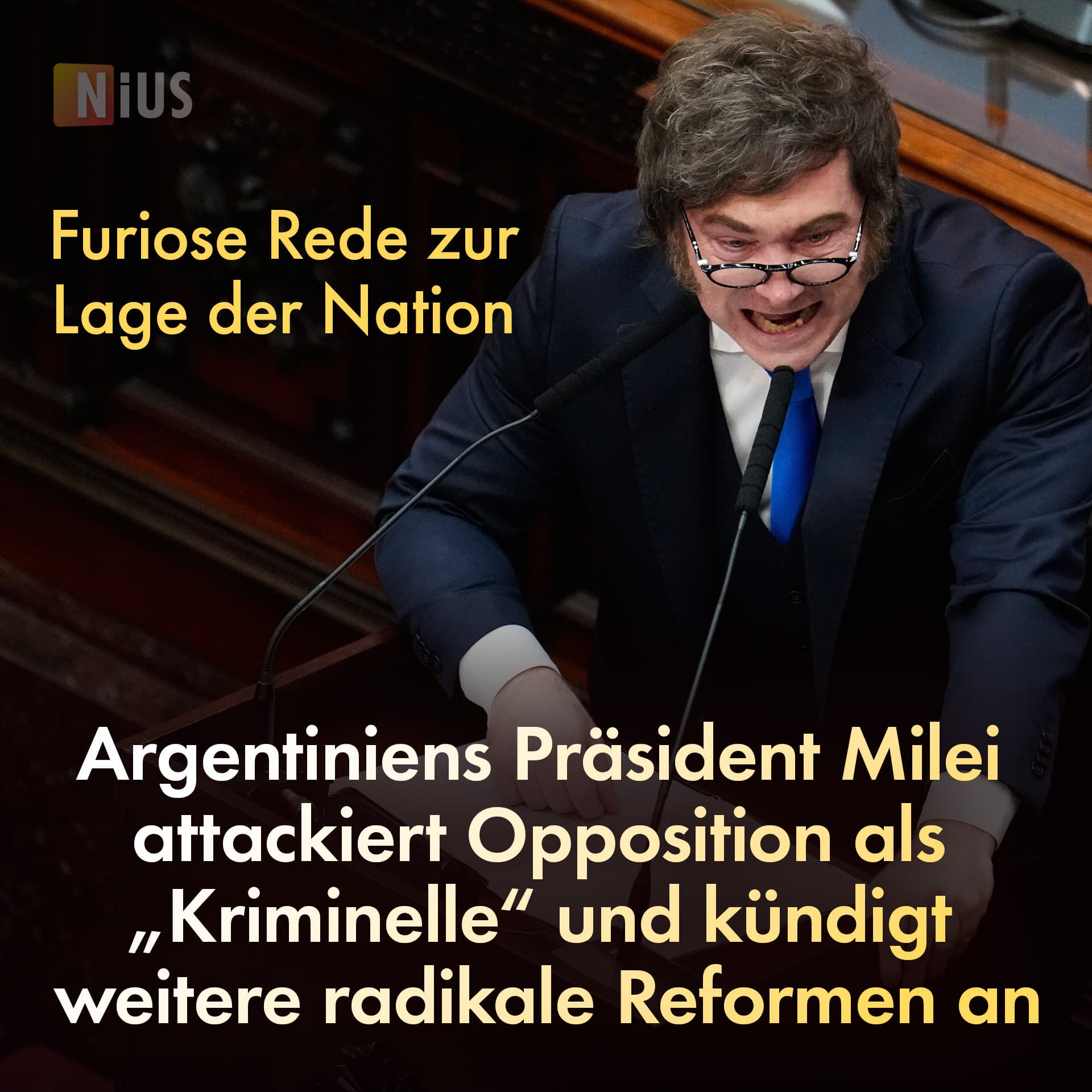 Furiose Rede zur Lage der Nation: Argentiniens Präsident Milei attackiert Opposition als „Kriminelle“ und kündigt weitere radikale Reformen an