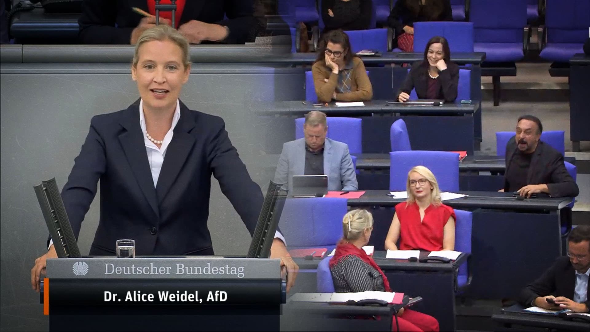 Für diesen Satz kassierte Weidel eine Rüge: „Der organisierte Linksextremismus mit seinen Schlägertruppen hat seine Sympathisanten überall hier in diesem Hause“