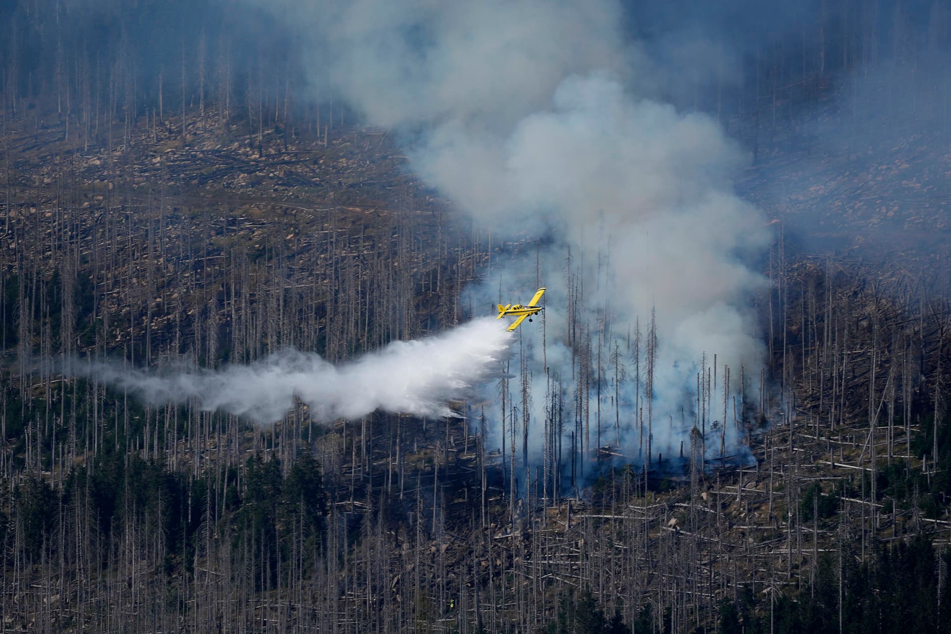 Feuer am Brocken: Hinweise auf Brandstiftung – Löscharbeiten wieder aufgenommen