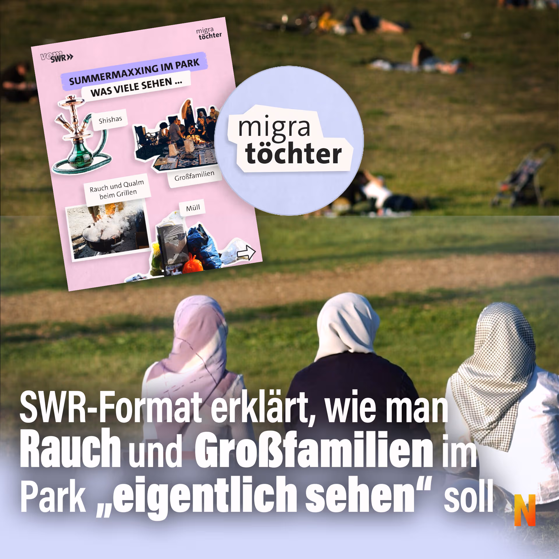 SWR-Format erklärt, wie man Rauch und Großfamilien im Park „eigentlich sehen” soll