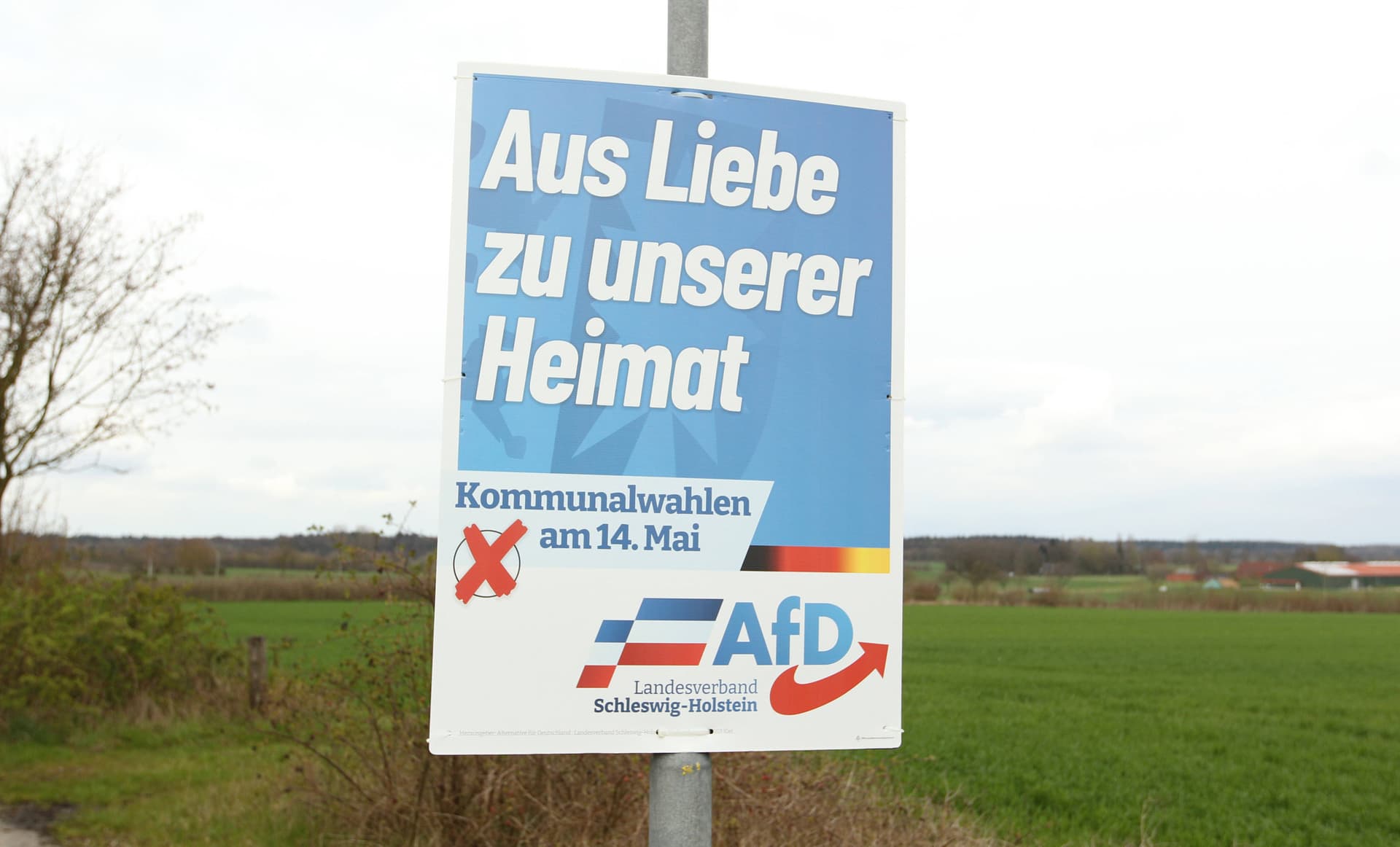 Mordversuch in Schleswig: AfD-Abgeordneter niedergestochen