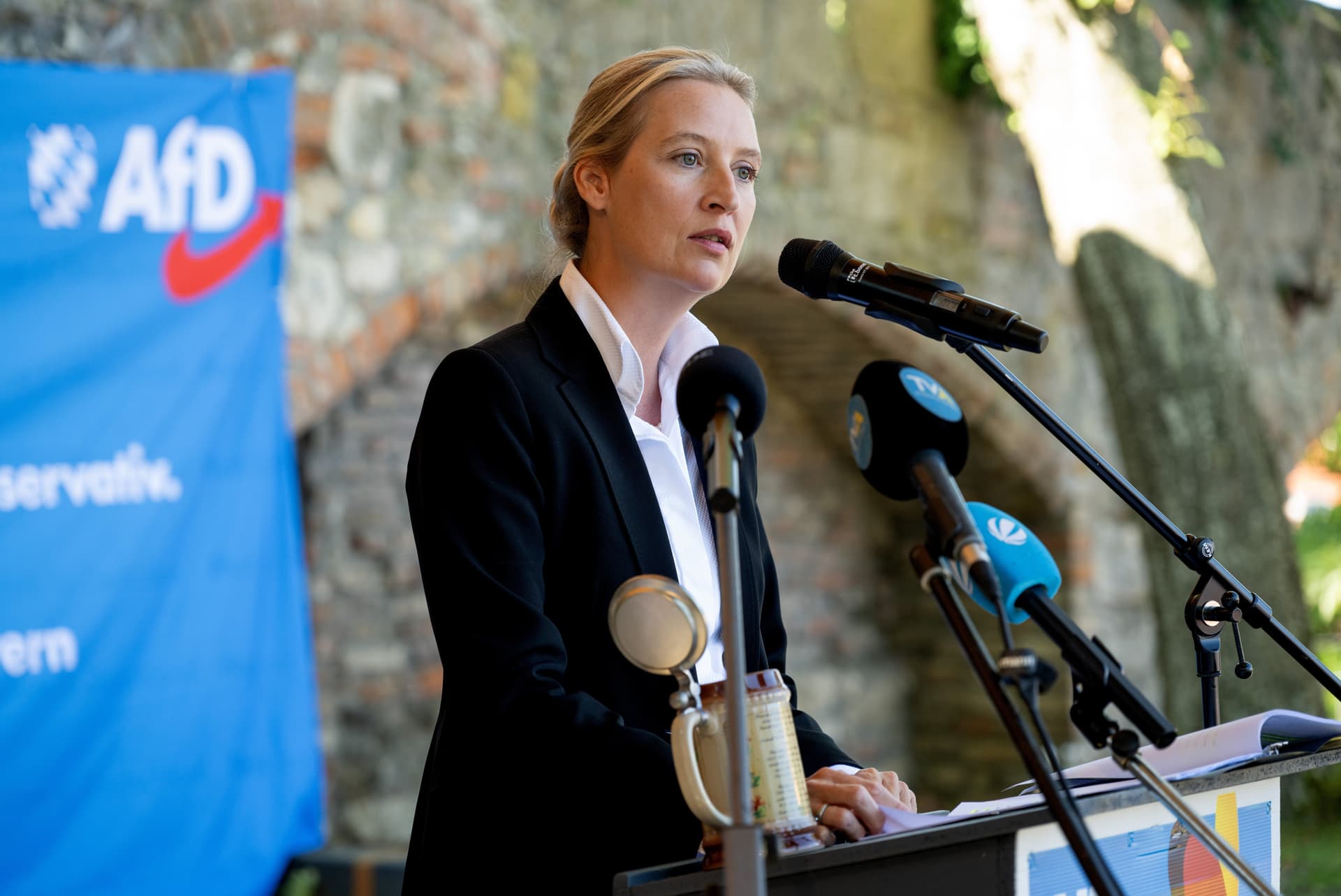 AfD-Chefin Weidel sagt Kundgebung wegen Bedrohungslage ab