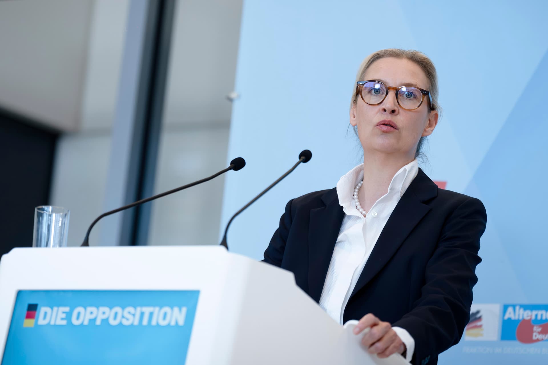 Neue Umfrage: Mehrheit der Deutschen will Kanzlerin Weidel