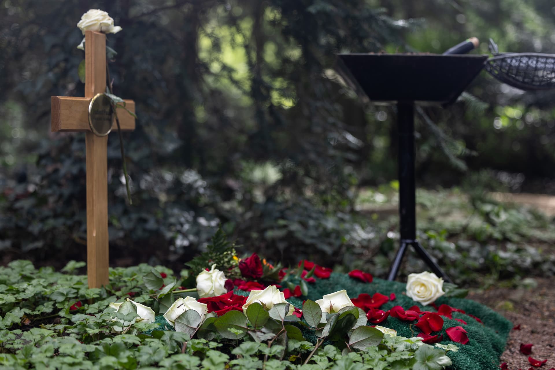 „Ich liege hier seit ein paar Wochen auf dem Waldfriedhof“: GEZ bekommt Brief von einem Toten