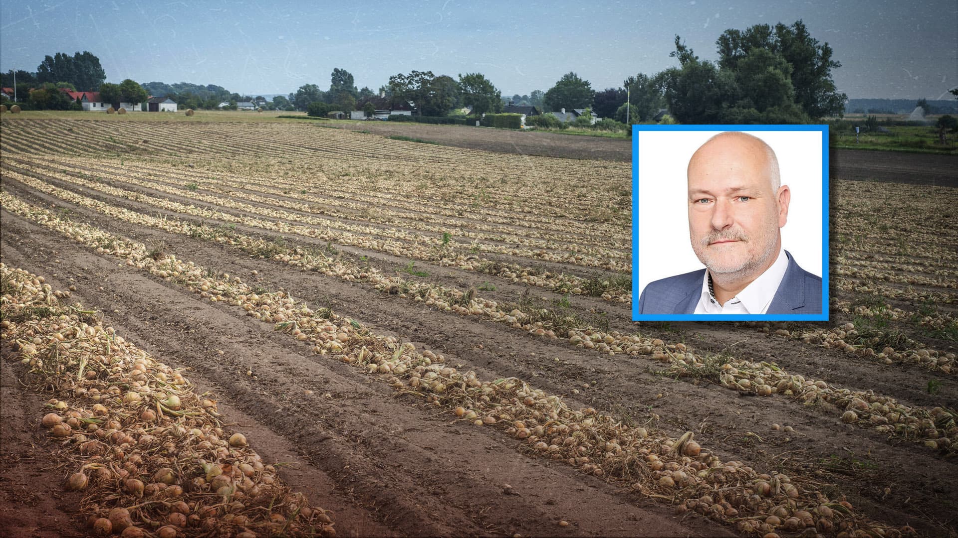 Zwiebelfarm in Belarus: Sächsischer AfD-Politiker soll politische Gefangene als Zwangsarbeiter eingesetzt haben