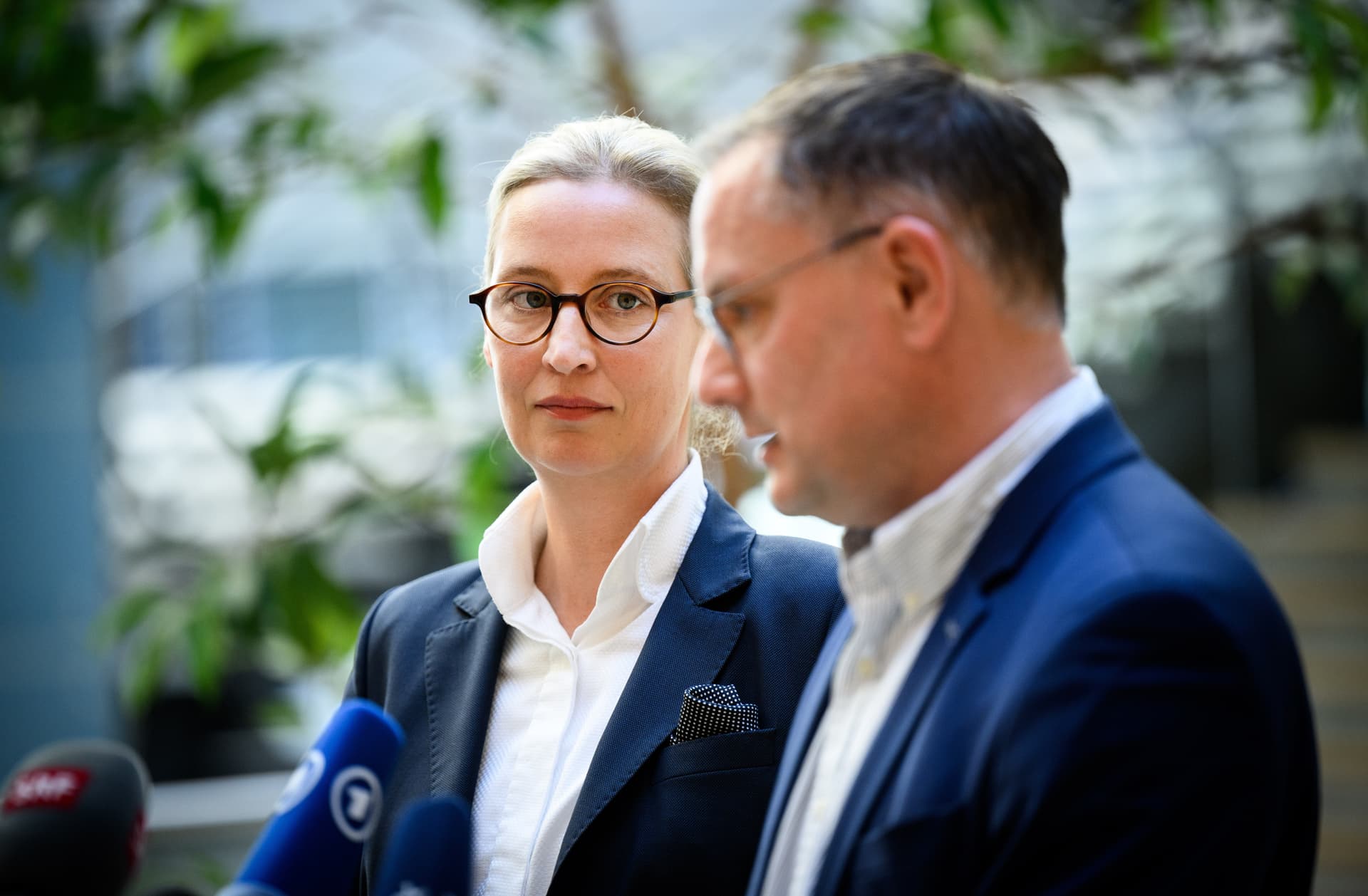 Umfrage zeigt harten Abwärtstrend: AfD-Zahlen stürzen weiter ab