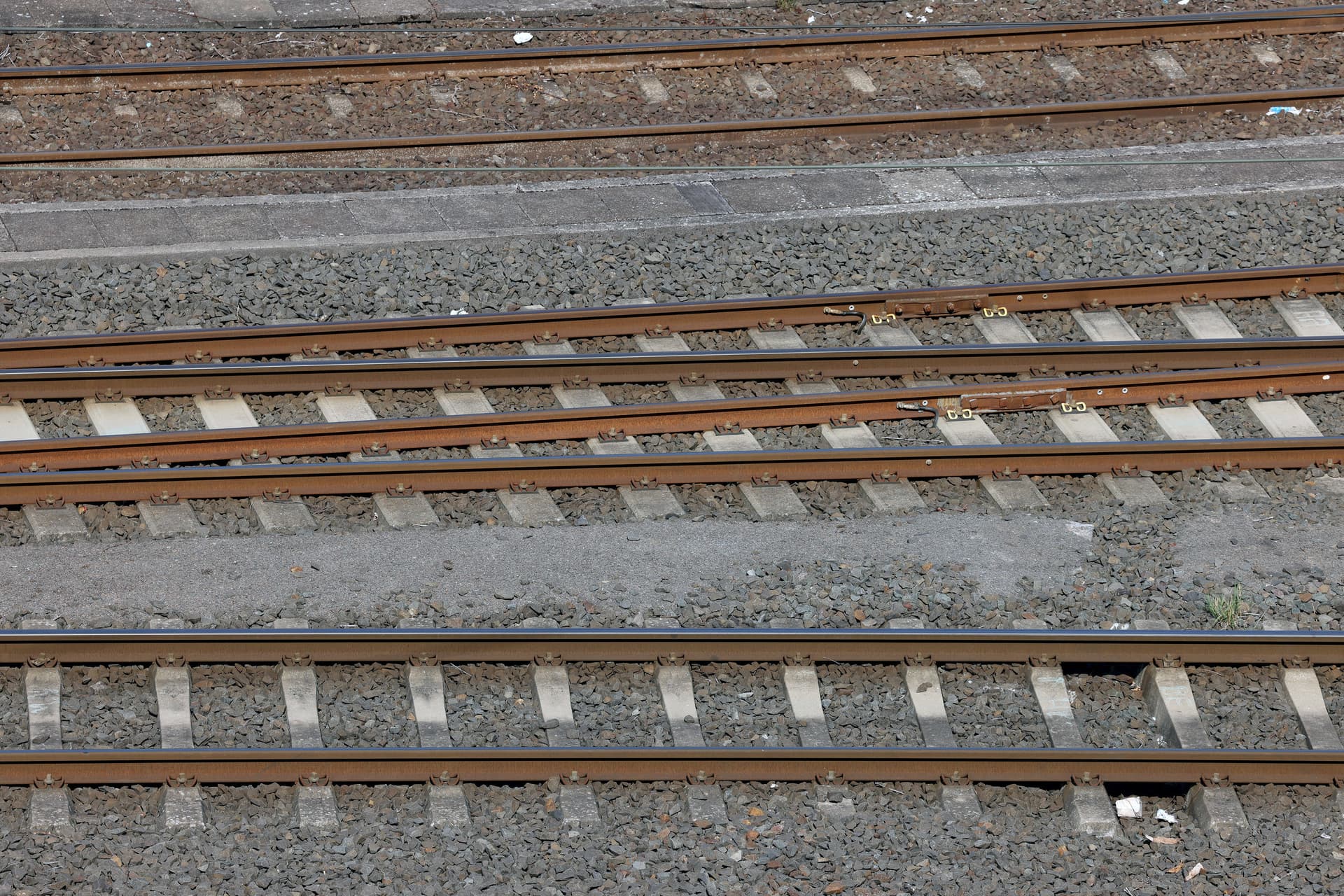An Bahnhof in Sachsen: Unbekannter will Frauenrechtlerin aus Pakistan ermorden – Staatsschutz ermittelt