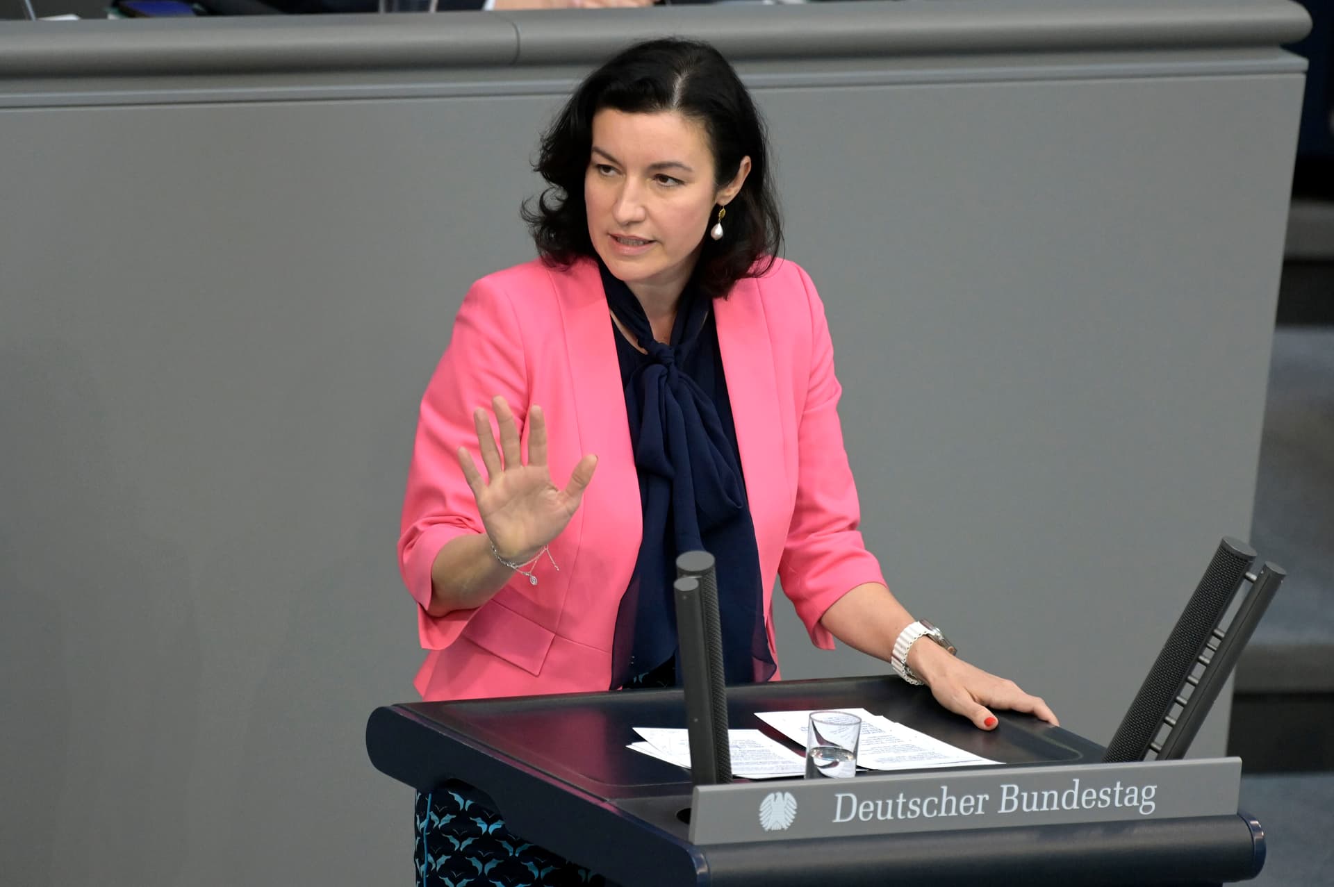 Nichts gelernt? CSU-Bär fordert AfD-Verbot