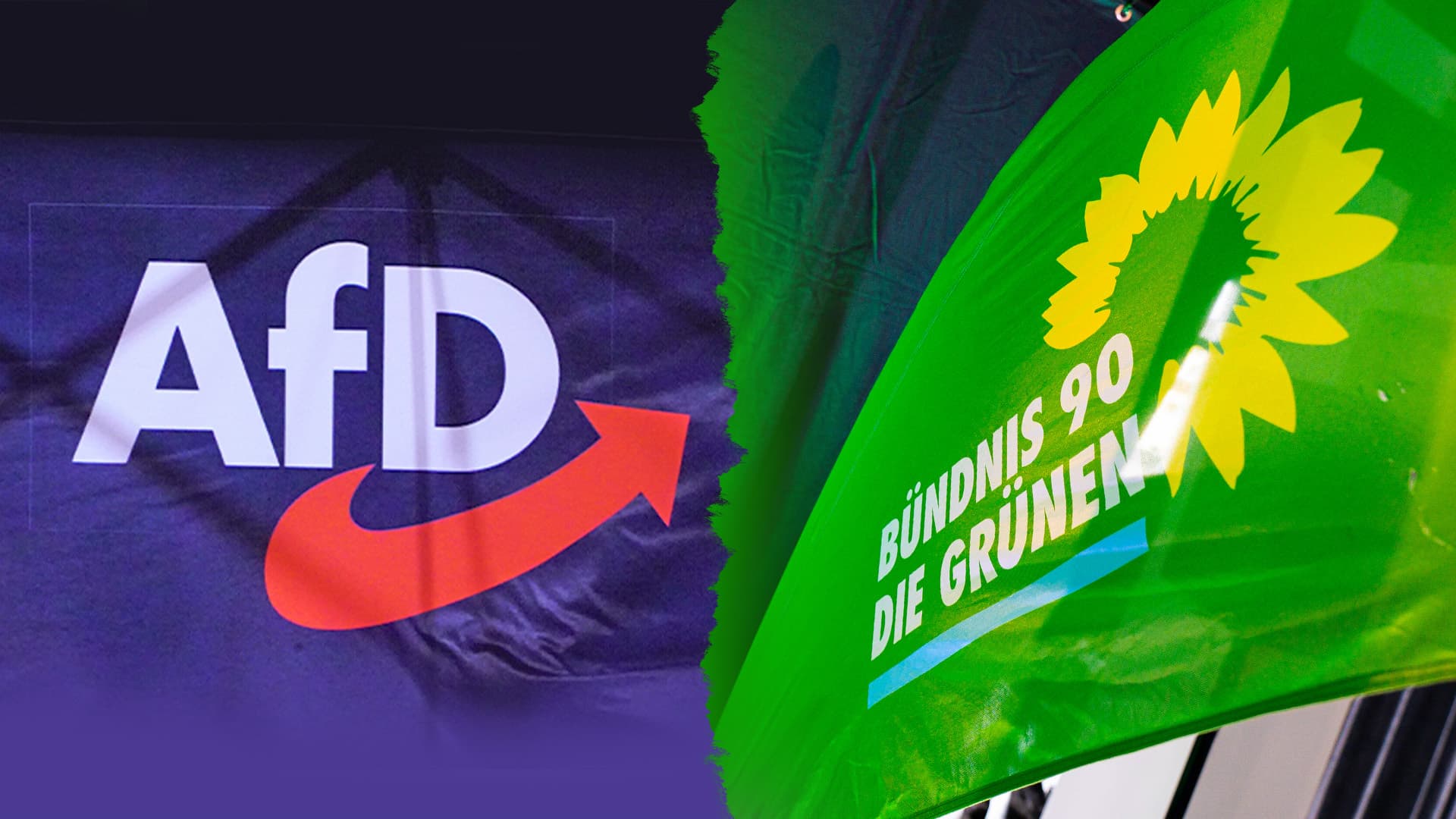 Die AfD legt Wahlbeschwerde gegen die Bundestagswahl ein: Frauenquote der Grünen verstößt gegen Demokratieprinzip