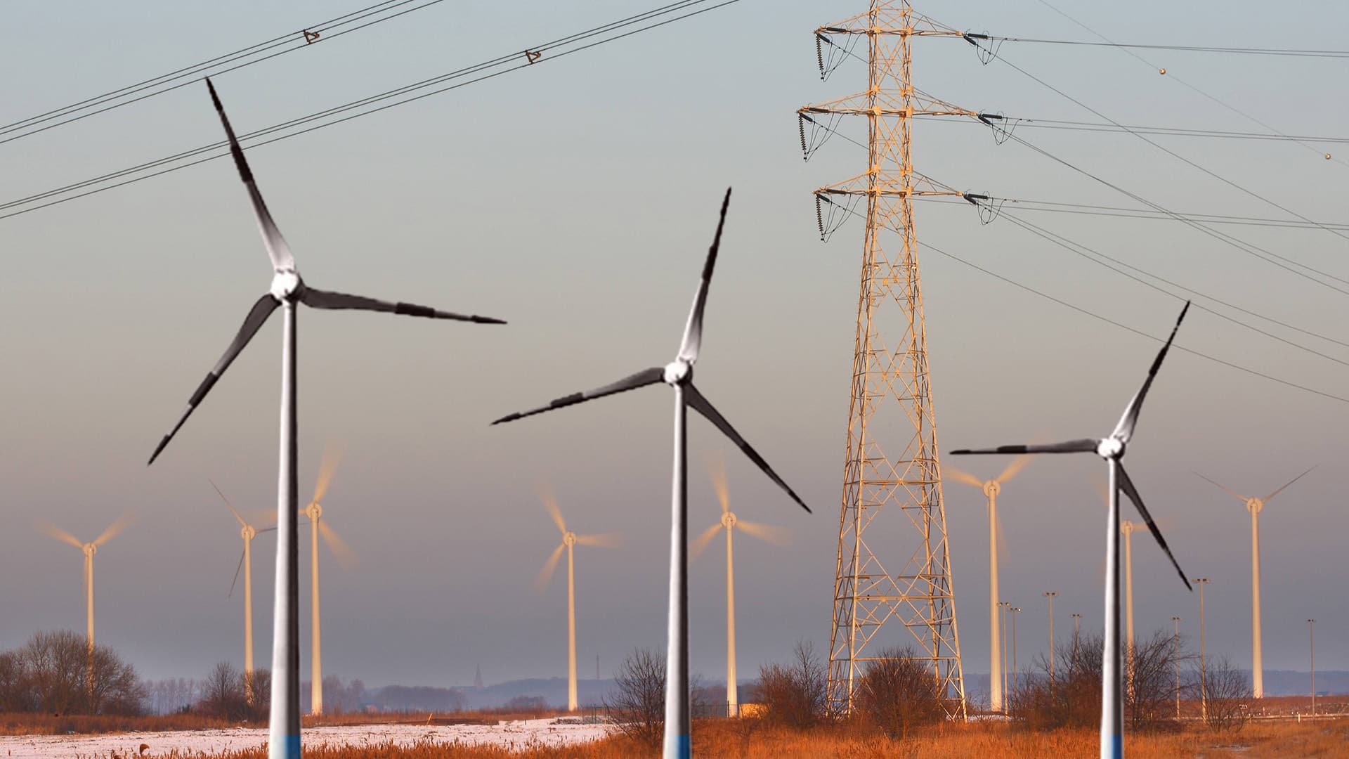 Das denkt die Wirtschaft: Der Klimawandel darf nicht zum Gesellschafts-Umbau missbraucht werden