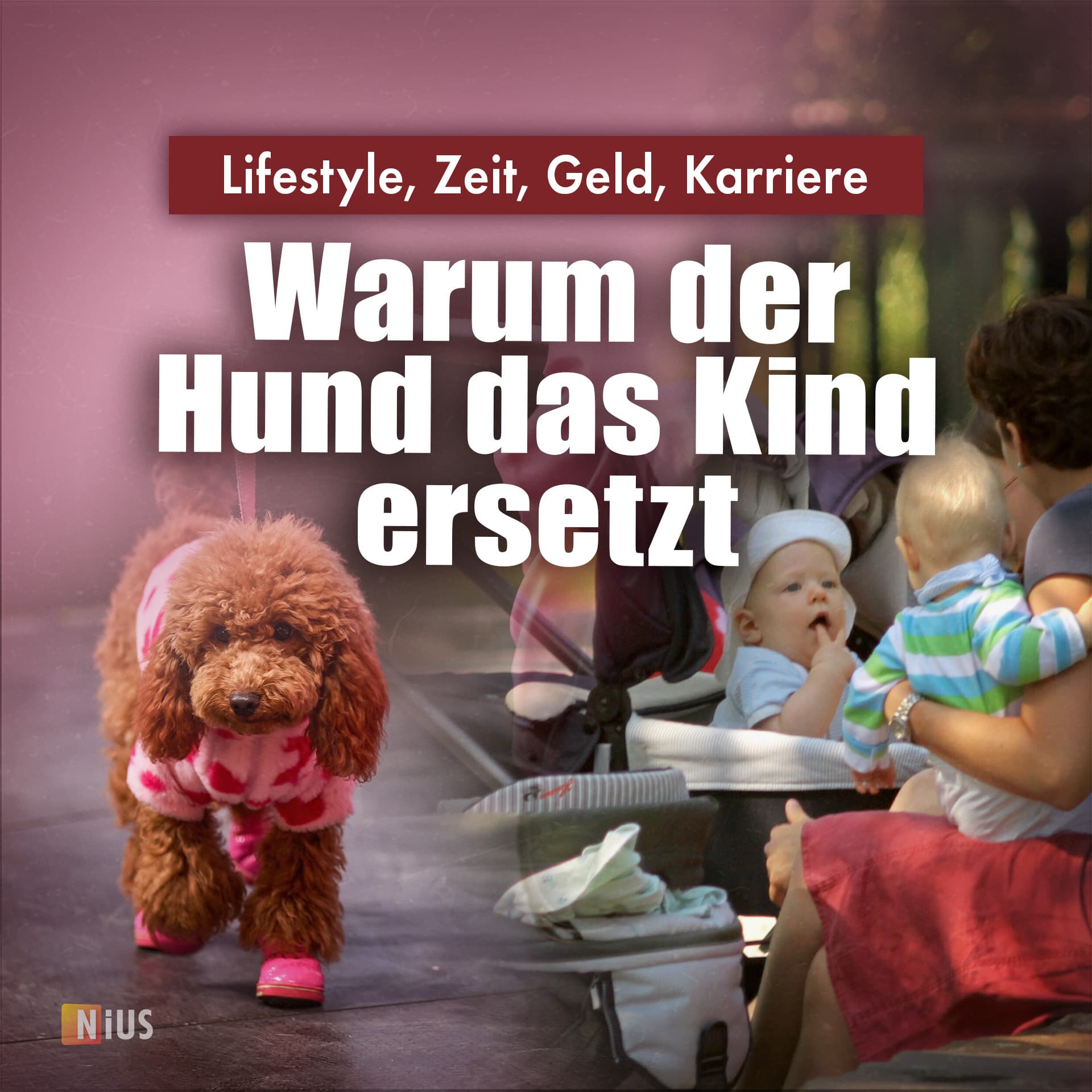 Lifestyle, Zeit, Geld, Karriere: Warum der Hund das Kind ersetzt