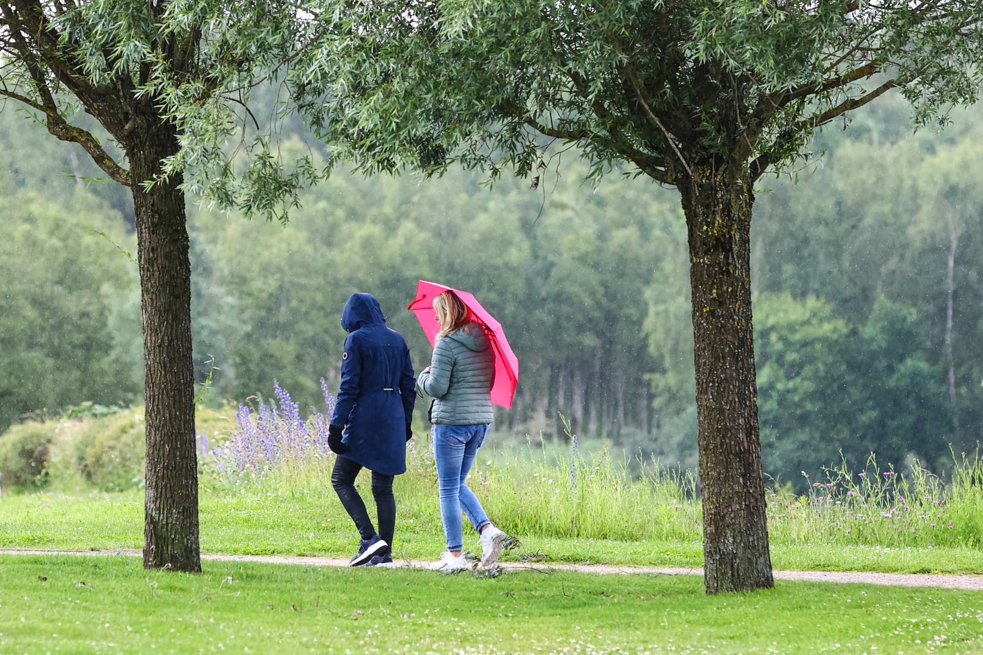 Der deutsche Sommer ist so kalt, dass das RKI nicht einmal Hitzetote zählt