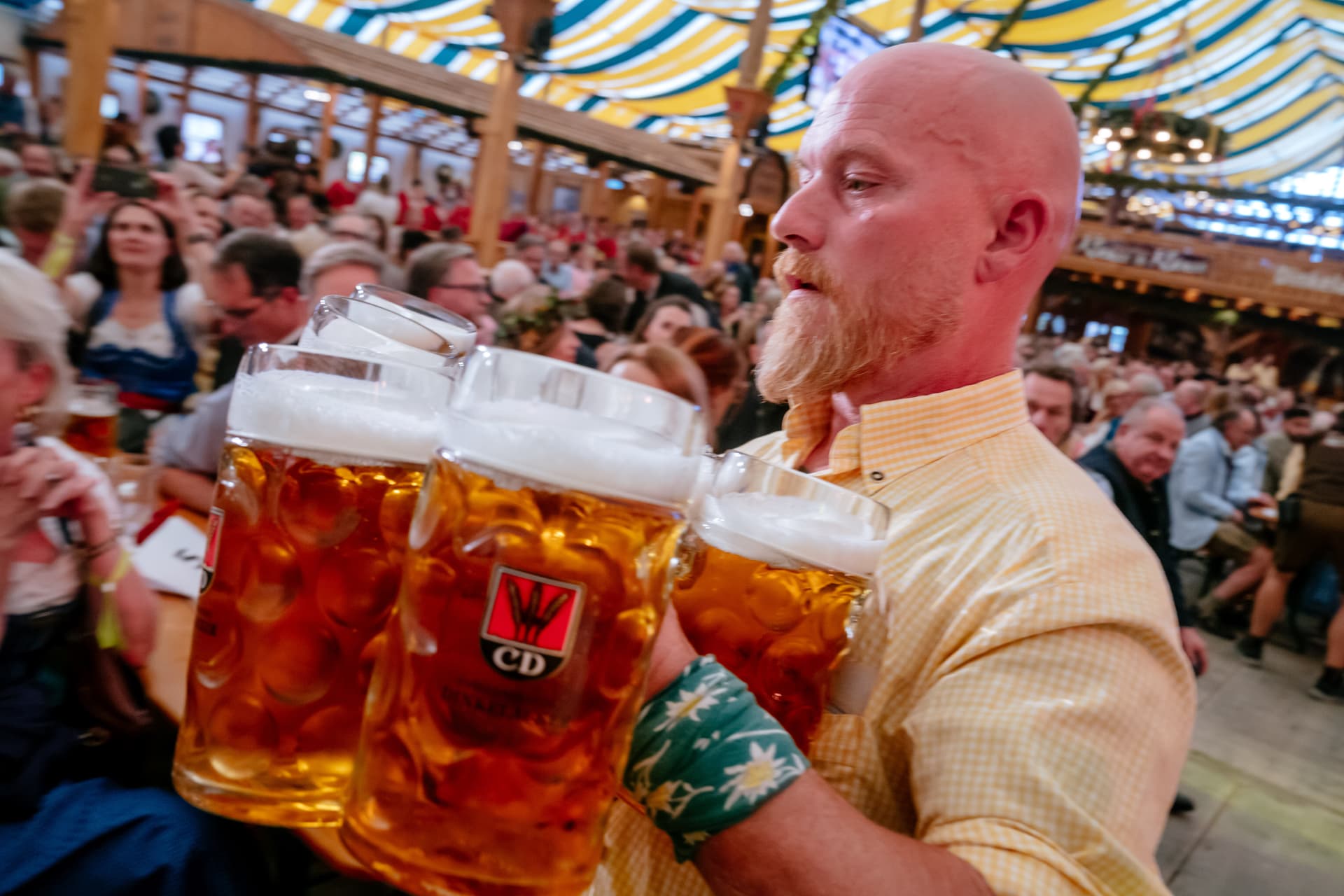 Bierproduktion in Deutschland steigt deutlich – aber vier Länder trinken noch mehr