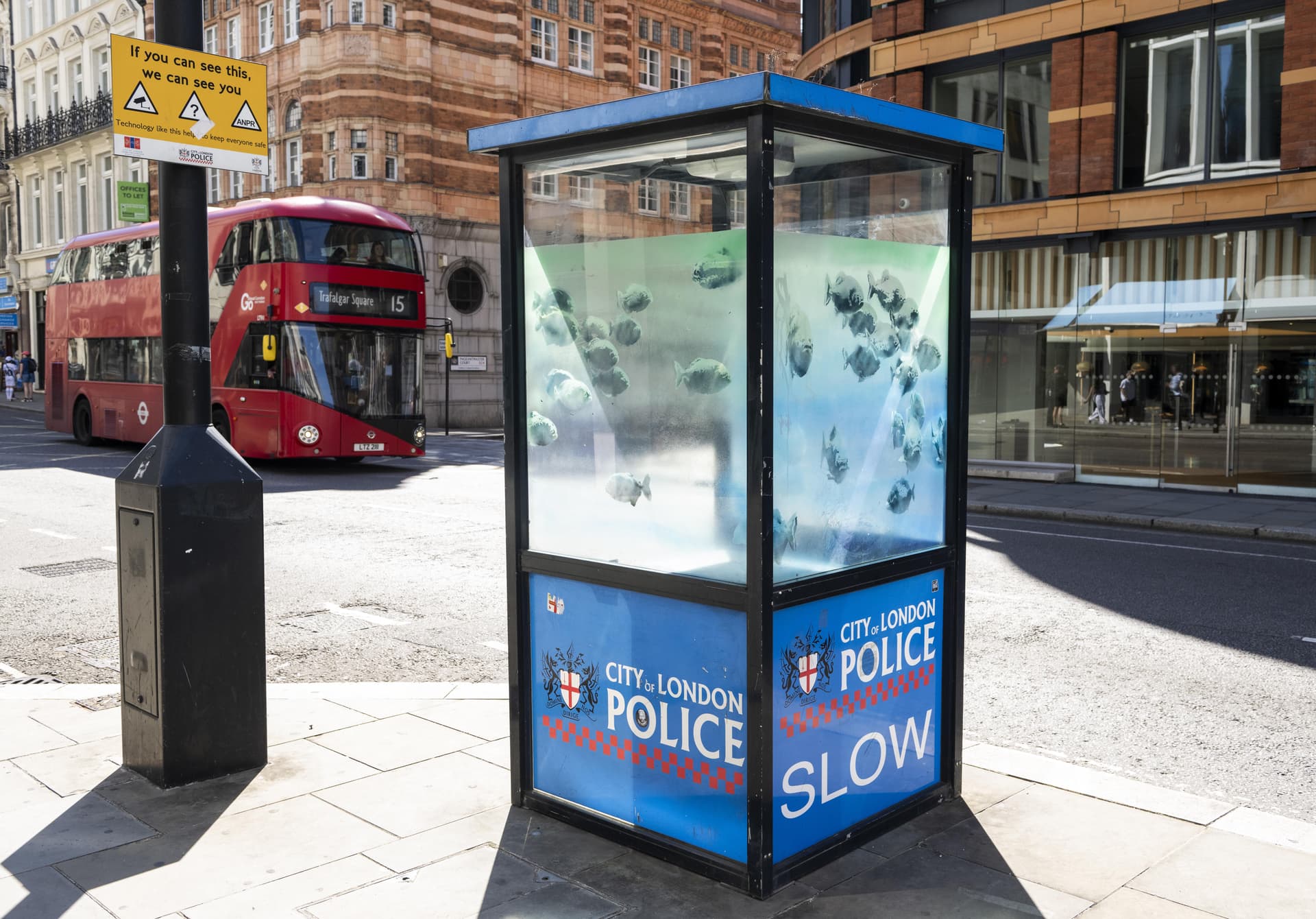Schon wieder! Banksy-Fische in London aufgetaucht