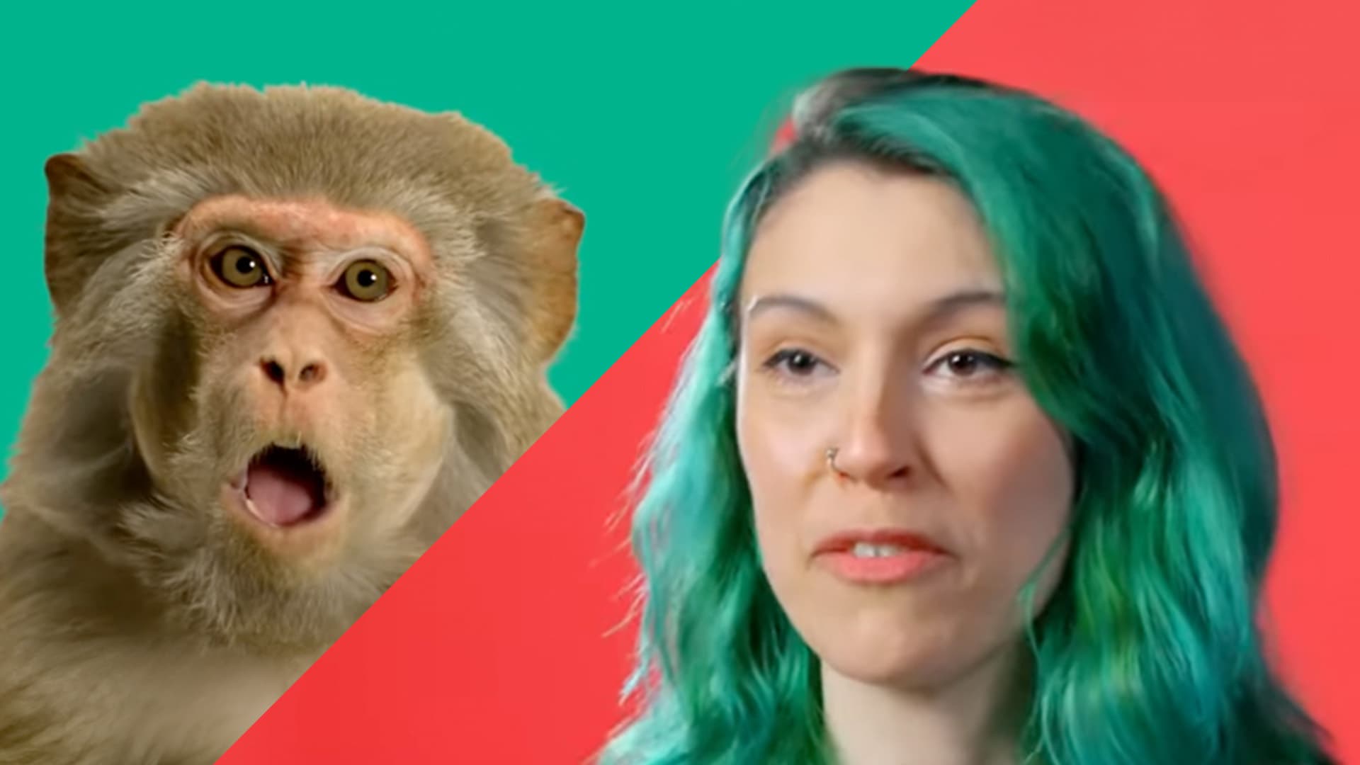 Irre Tierdoku „Queer Planet“: Regenbogen-Ideologie gilt jetzt auch für Tiere