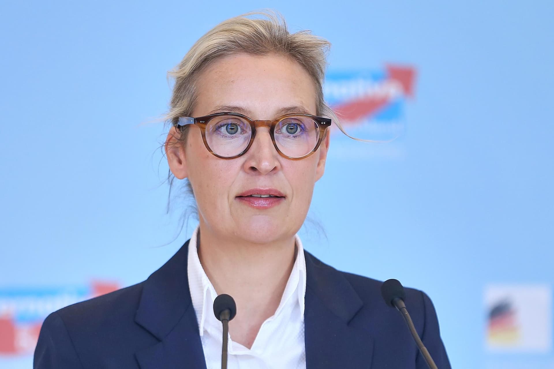 Neue Ipsos-Sonntagsfrage: CDU verliert, AfD bleibt stabil