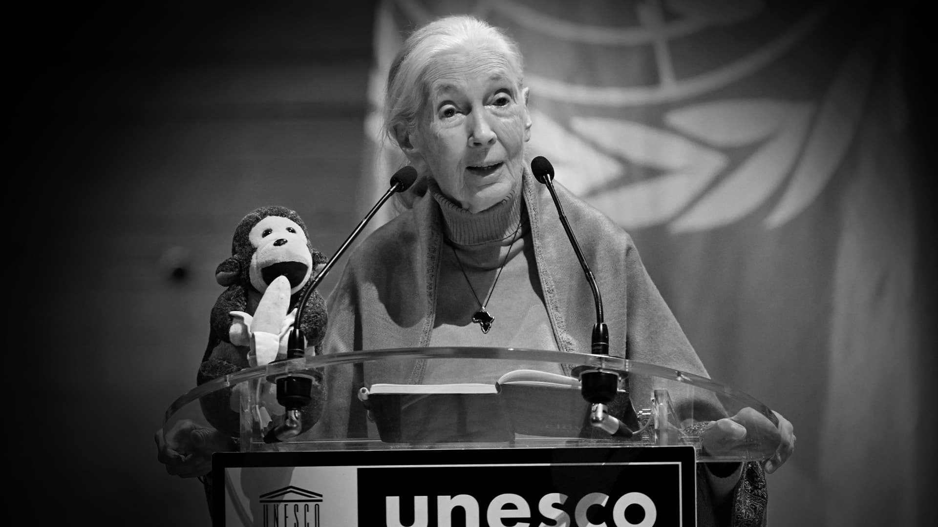 Nach Tod der Schimpansenforscherin Jane Goodall: Hollywoods Klima-Heuchler machen sich zum Affen
