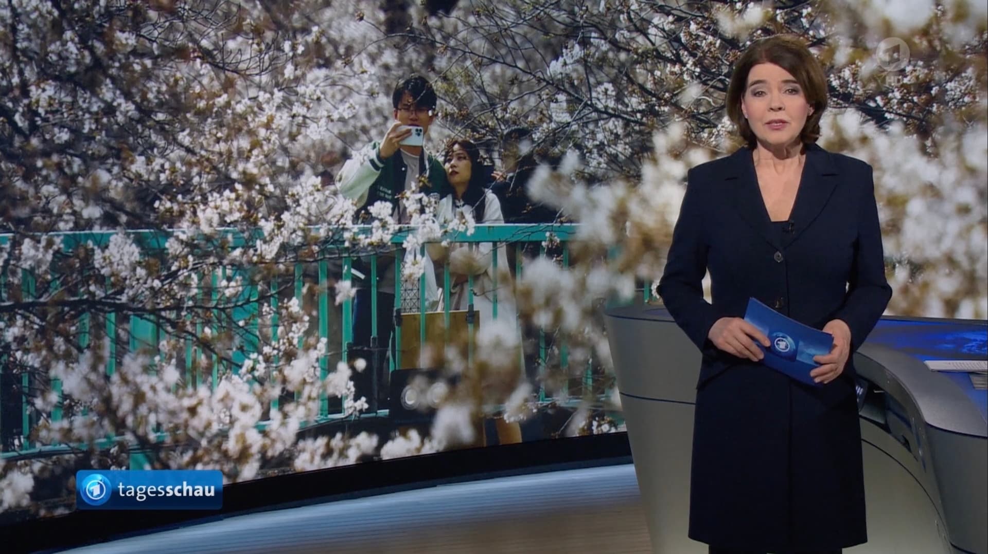 Tagesschau berichtet über Kirschblüte in Japan, aber nicht über Messer-Angriff auf Mädchen (4)