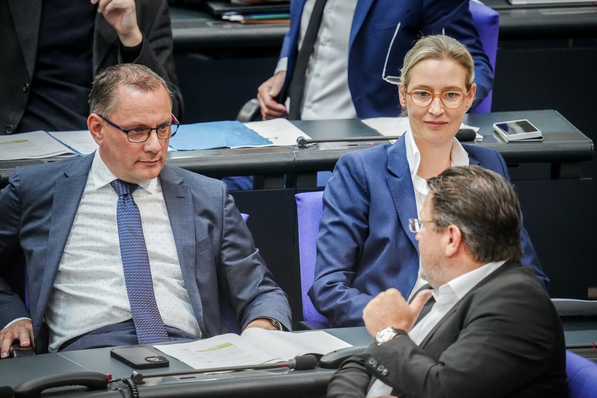 Neuer Rekord-Wert für die AfD: 22 Prozent