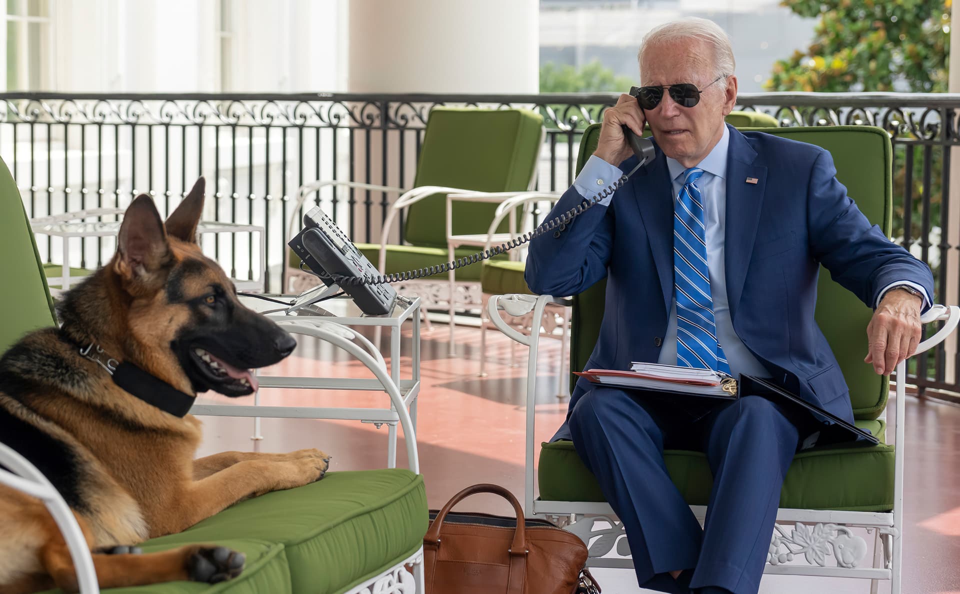 Beiß-Attacken im Weißen Haus: Bidens Schäferhund fällt Mitarbeiter an