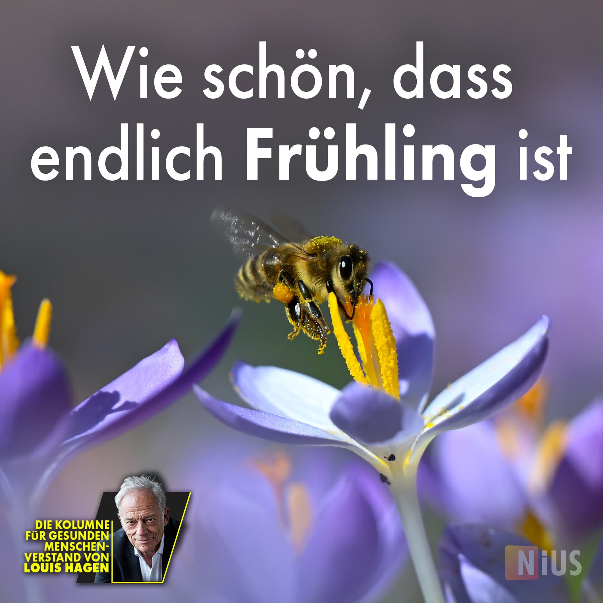 Wie schön, dass endlich Frühling ist