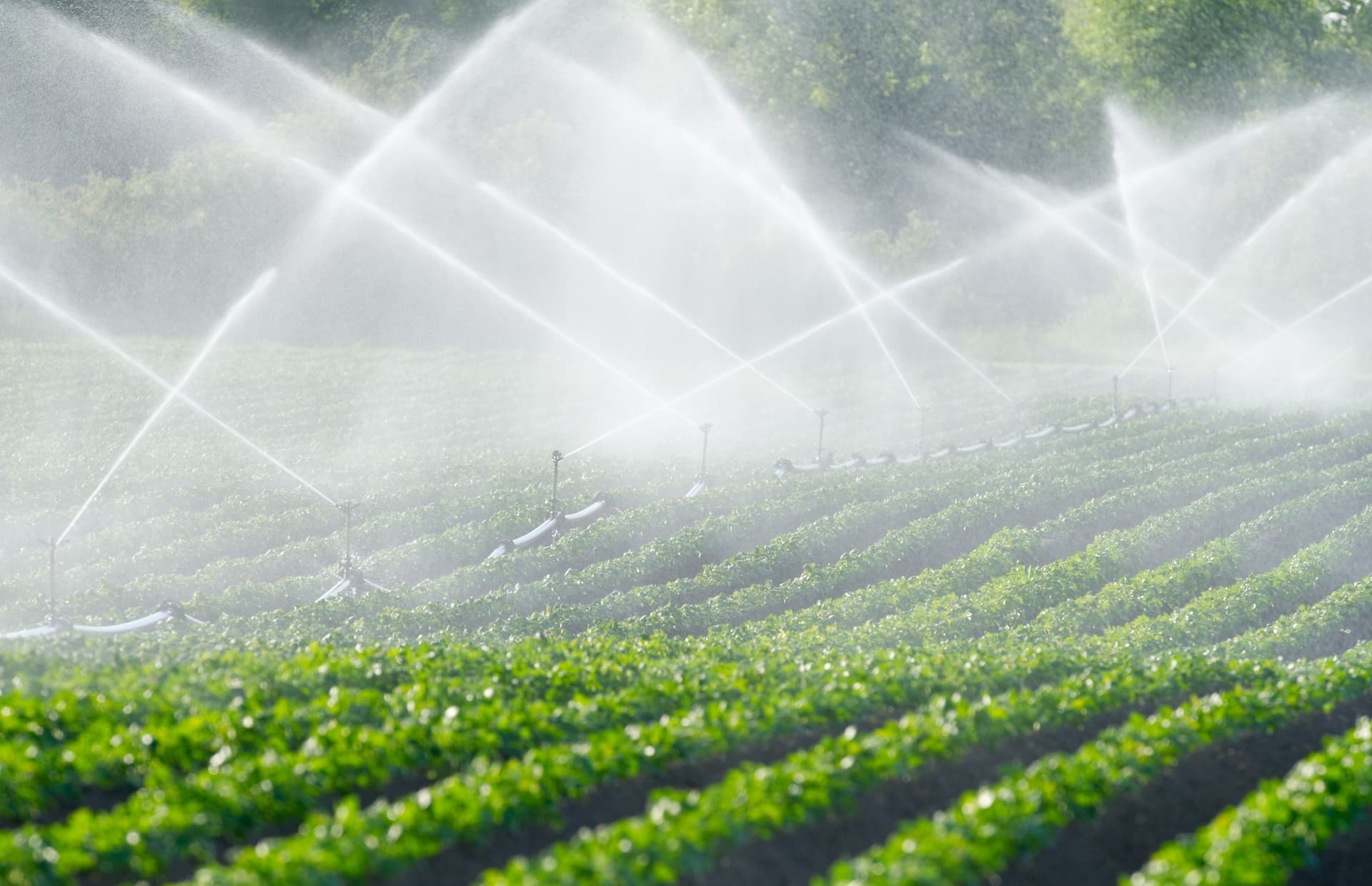 Ampel-Plan: Landwirte in Rheinland-Pfalz sollen für Wasser bezahlen