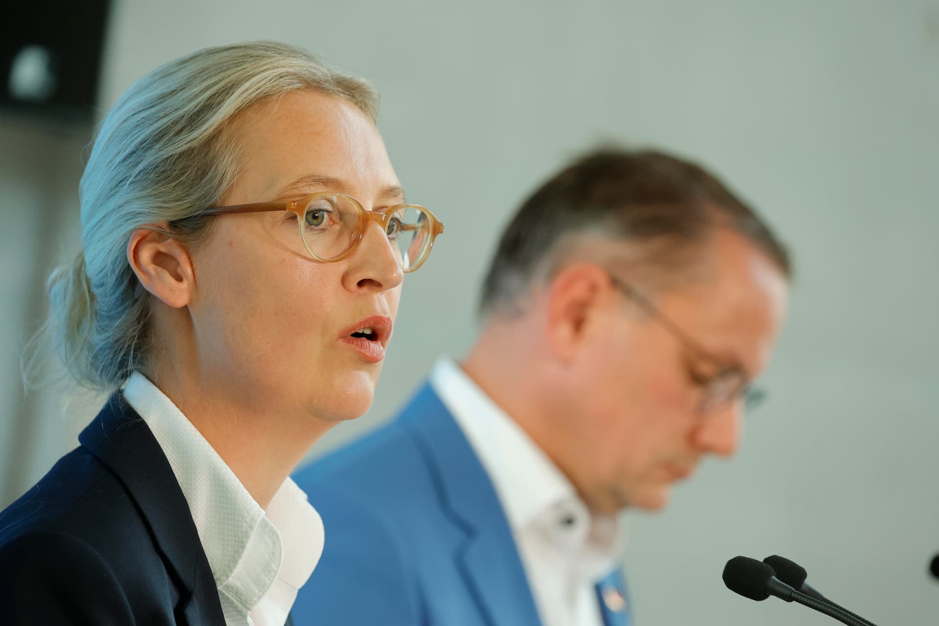 Deutsche Meinungsforscher wollen nicht für AfD arbeiten