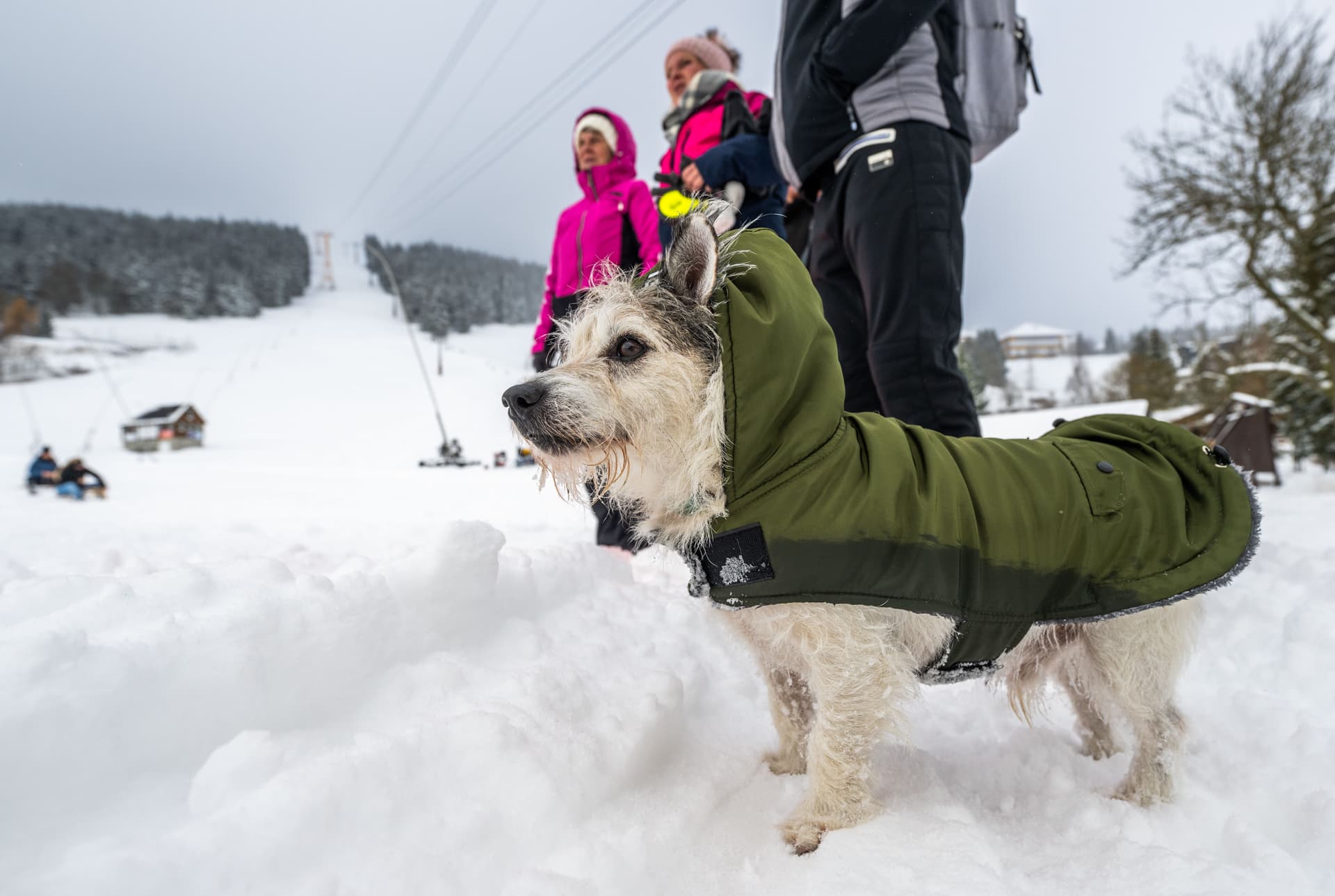 Erstes Schnee-Wochenende: Winterzauber und Unfälle