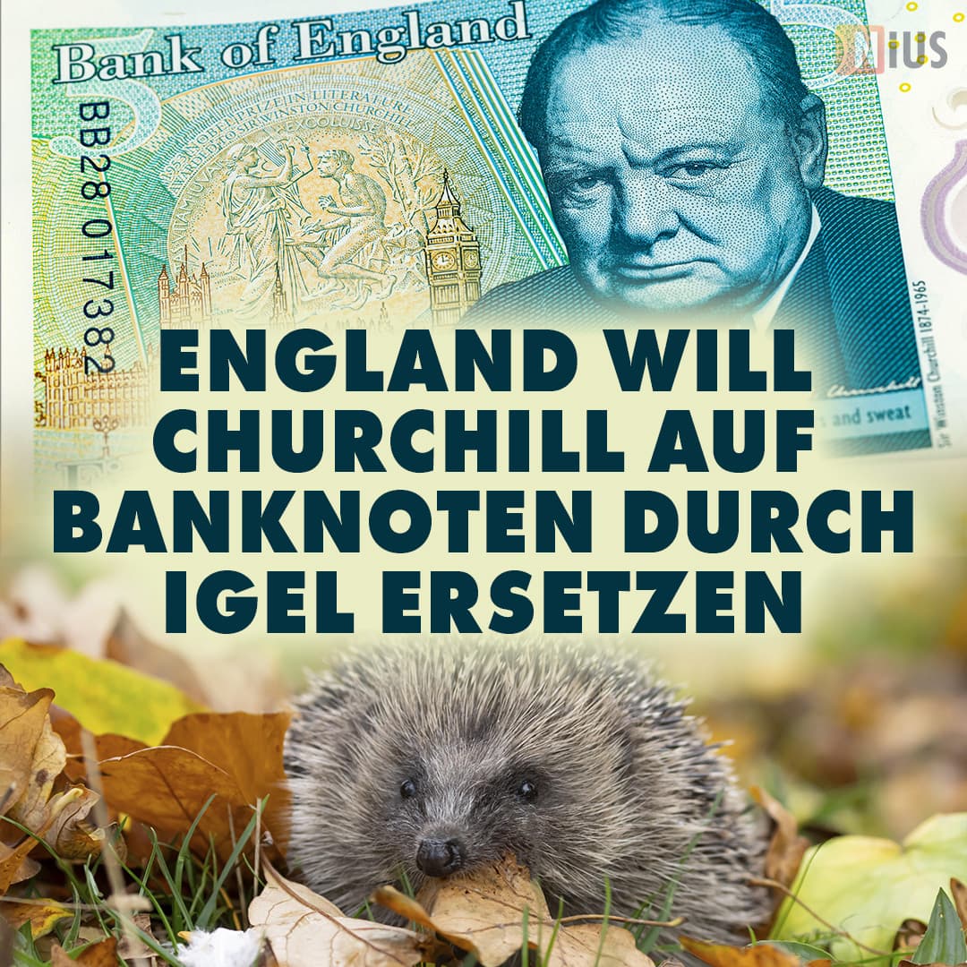 England will Churchill auf Banknoten durch Igel ersetzen