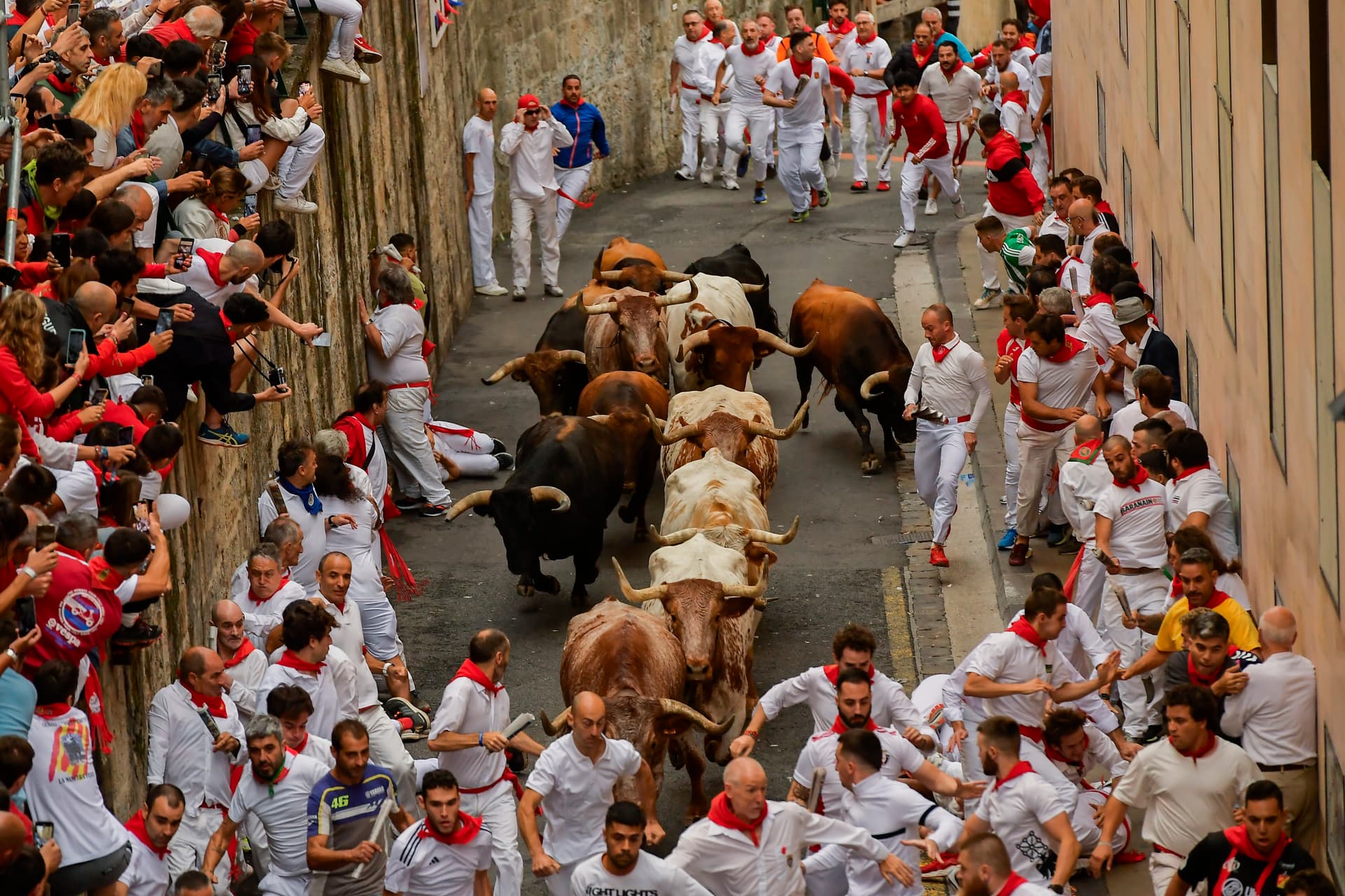 600-Kilo-Kampfbullen: In Pamplona sind die Stiere los!
