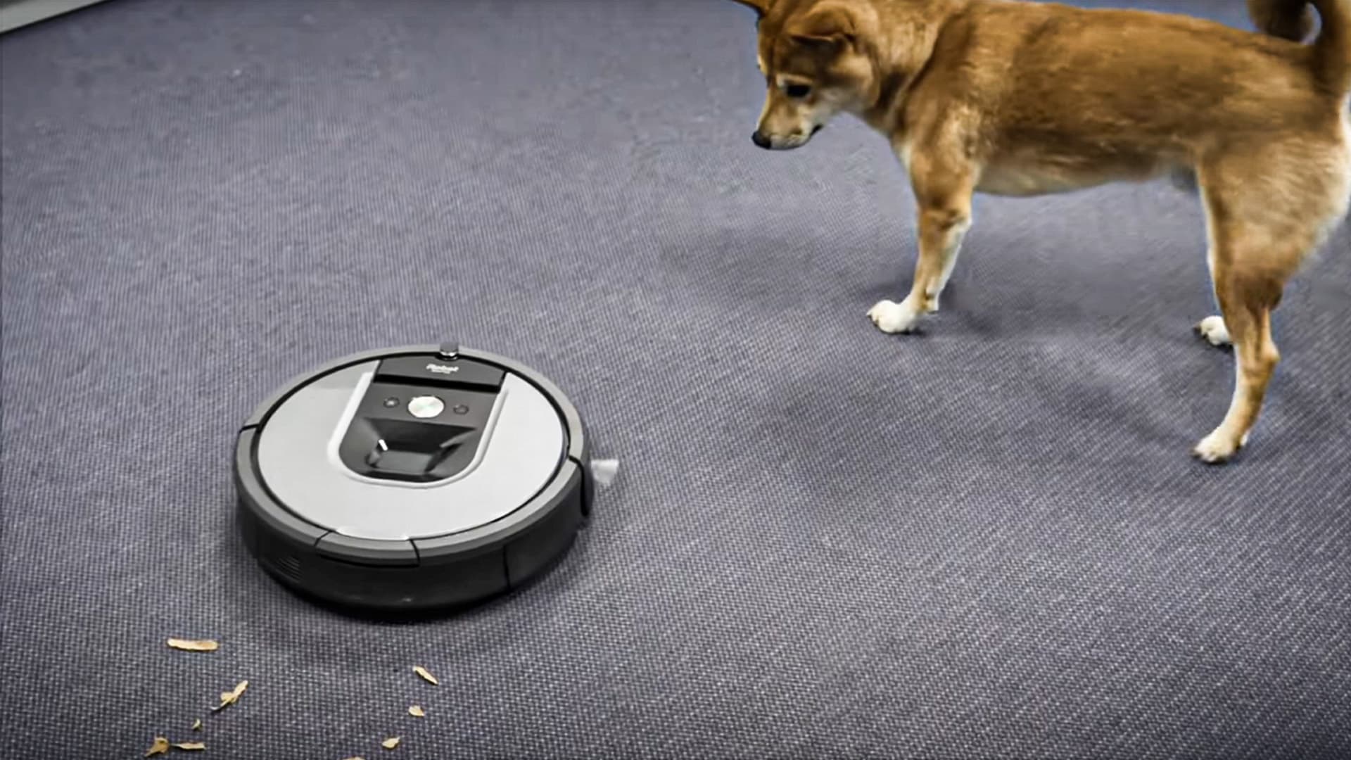 Neuer Trend auf der IFA: Dein Freund, der Saugroboter