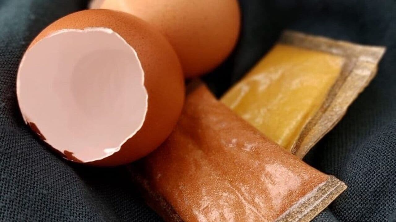 Trotzt dem Plastikmüll: Studentinnen erfinden Verpackung aus Eierschalen