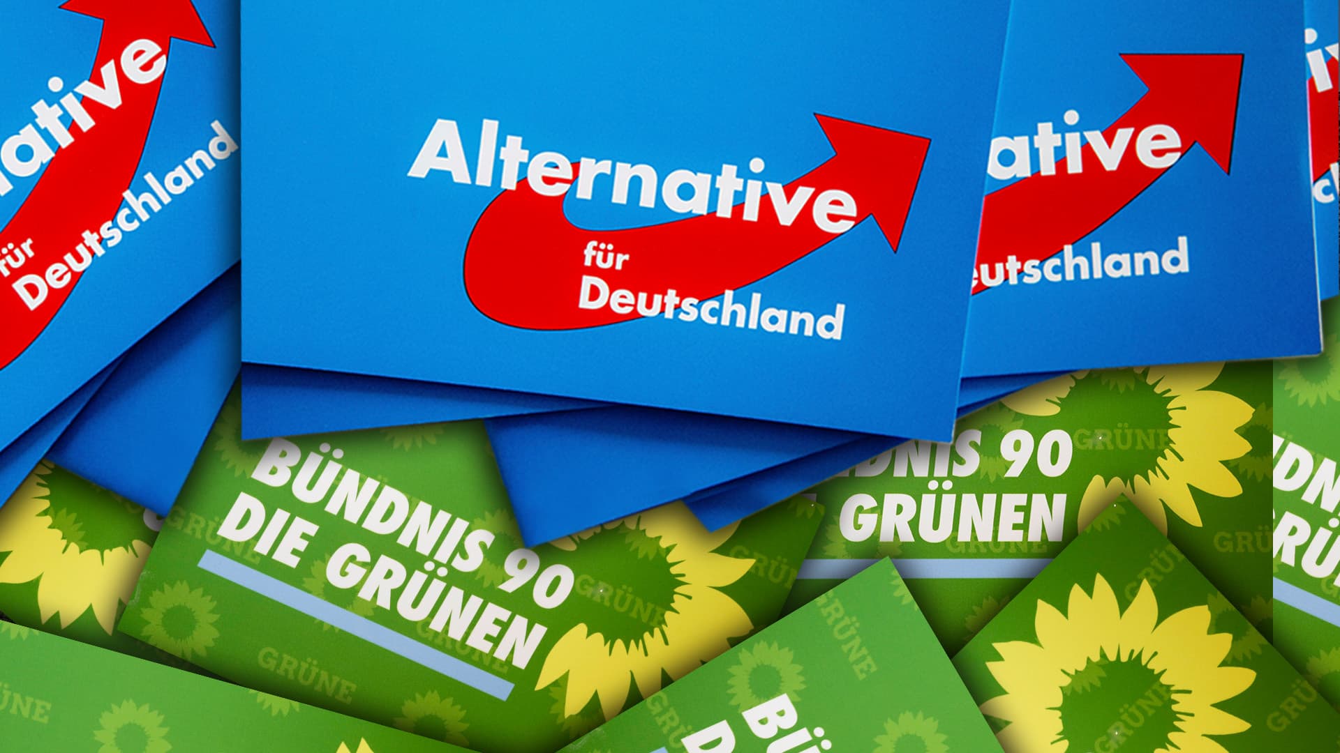 AfD und Grüne: Zwei Gesellschaftsmodelle stehen sich unversöhnlich gegenüber