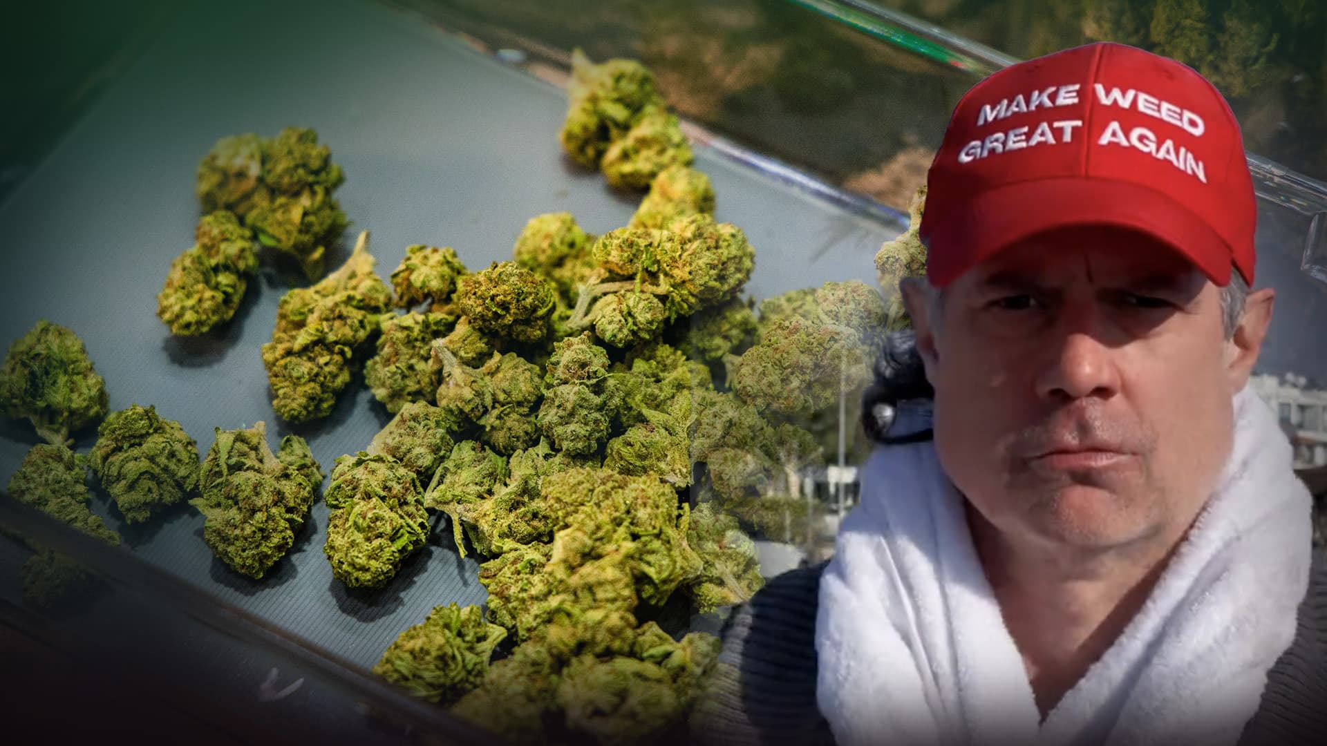 Cannabis, Zauberpilze, AI-Kirche: Dr. Ansay ist die verrückteste Partei im Bundestagswahlkampf
