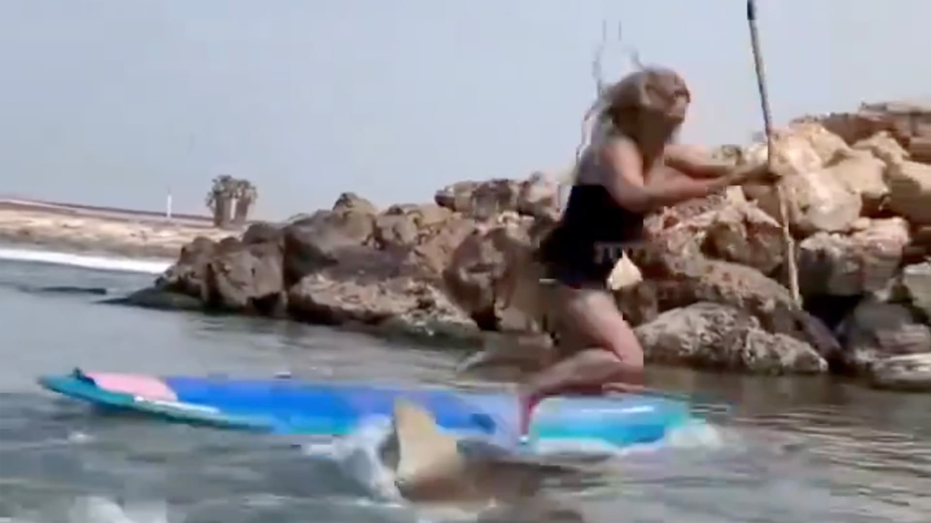 Spektakuläres Video aus Israel: Frau stürzt von Paddle-Board direkt auf einen Hai!